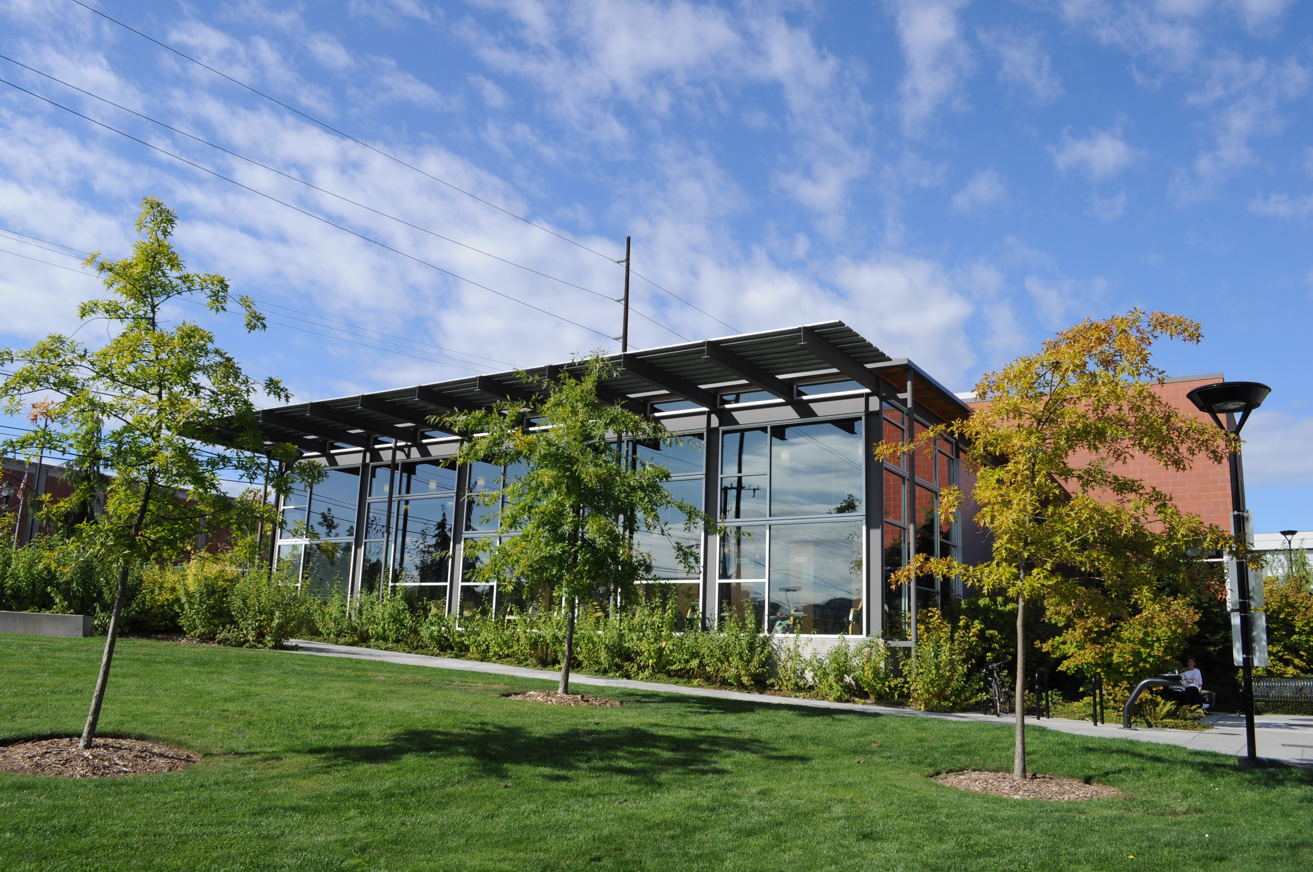 Modern glass-and-steel library building with flat roof overhang, surrounded by landscaped grounds and young trees.