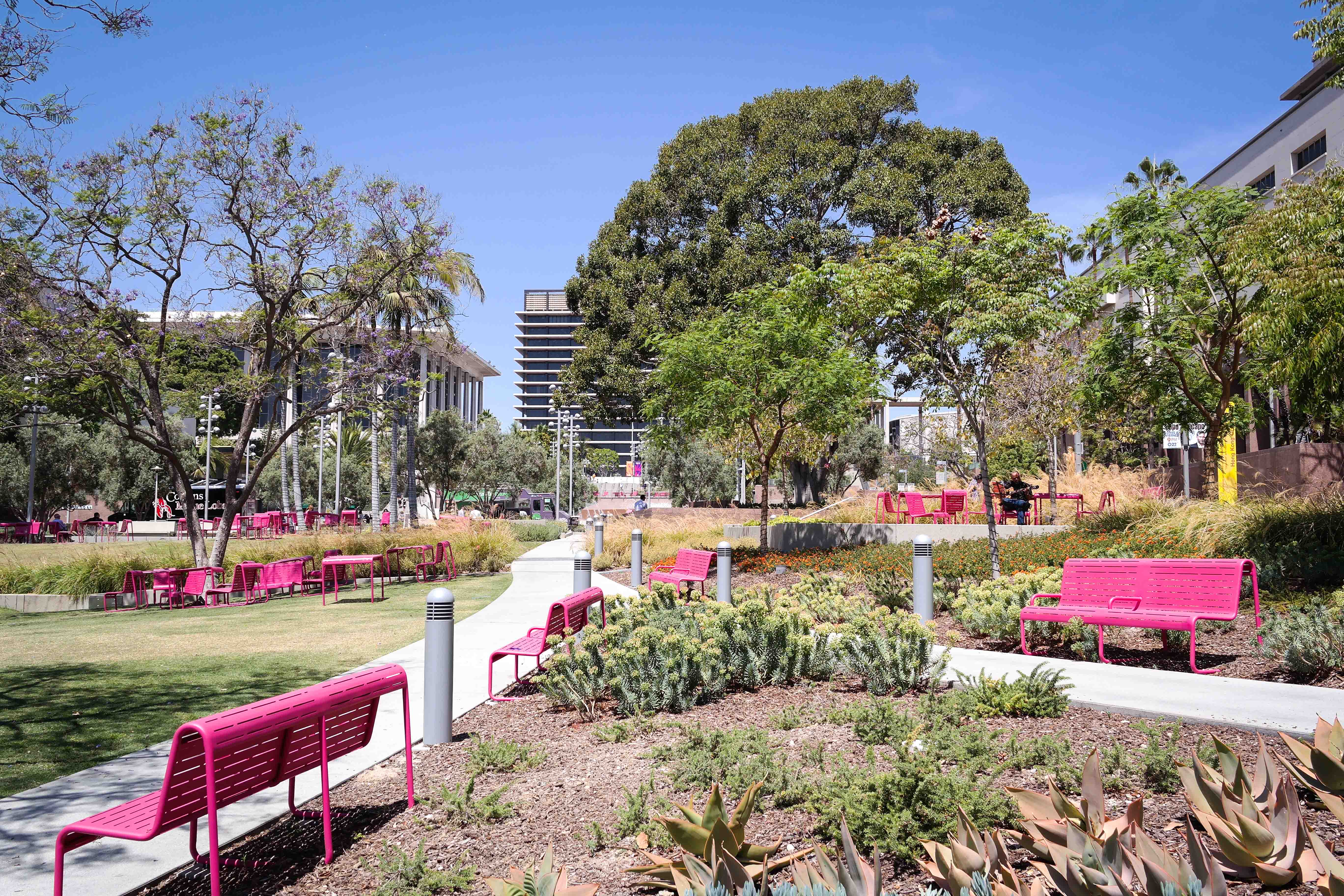 Sunny urban park with pink benches, a tree-lined path, and tall city buildings behind.