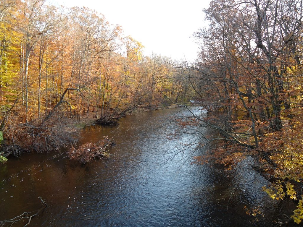 The money, part of the Passaic River Regional Flood Mitigation Project, would pay for clearing debris and obstructions from clogged tributary stretches and reinforcing eroding stream banks in Berkeley Heights, Long Hill, New Providence, Summit and Chatham Borough.