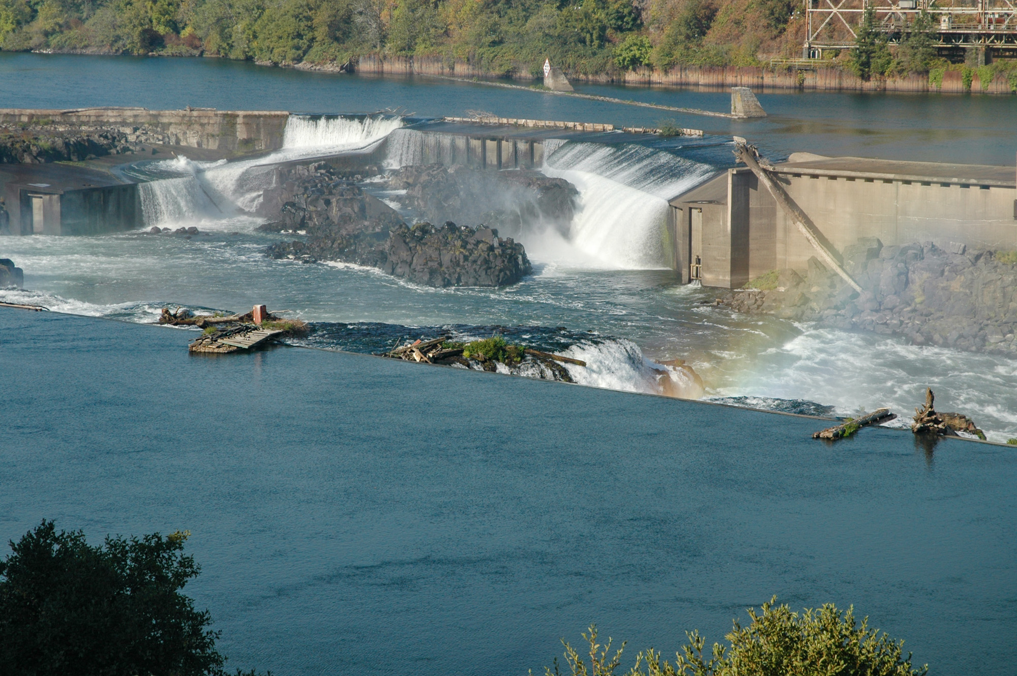 Willamette Falls with a dam structure, cascading water over rocky outcroppings, and dense tree cover.