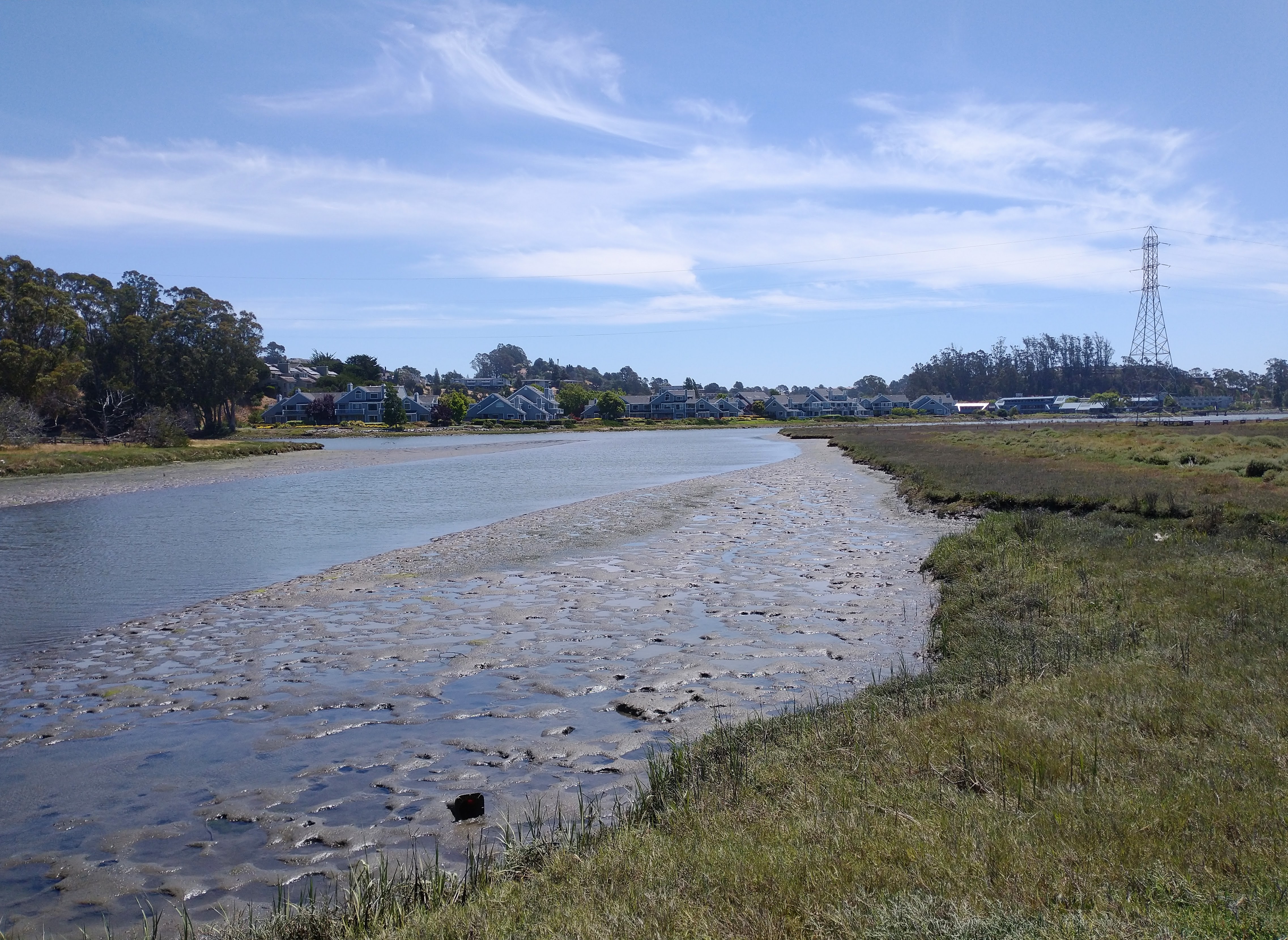 Tidal wetland channel with marsh grasses, homes, and a power tower in the background.