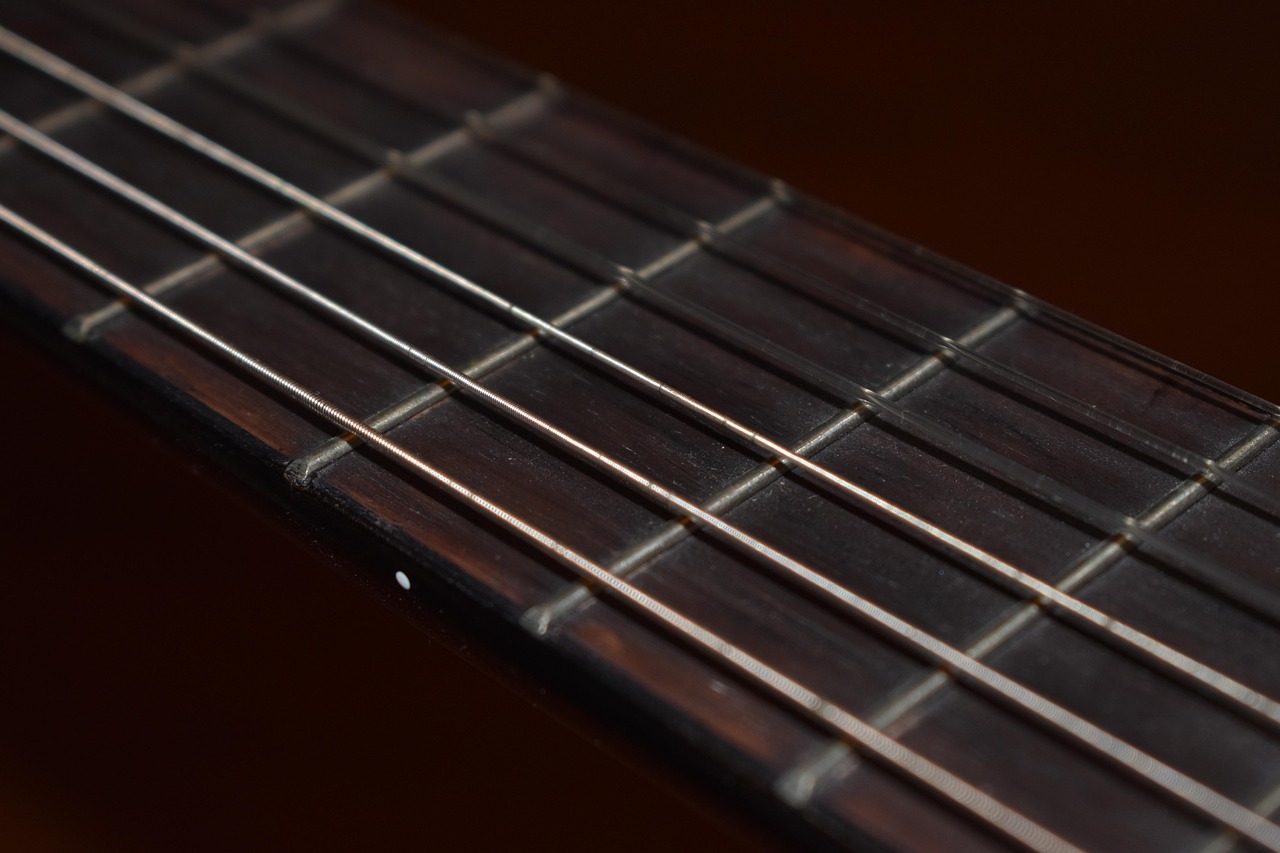 Guitar, vulture, strings, music, game, hobby, class, tools, tool, string, metal