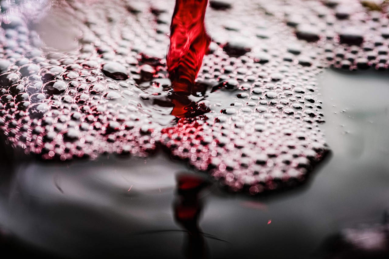 Wine, liquid, bubbles, pour, red wine, bubble, flow, alcoholic drink, beverage, liquor, wine, wine, wine, wine, wine, re