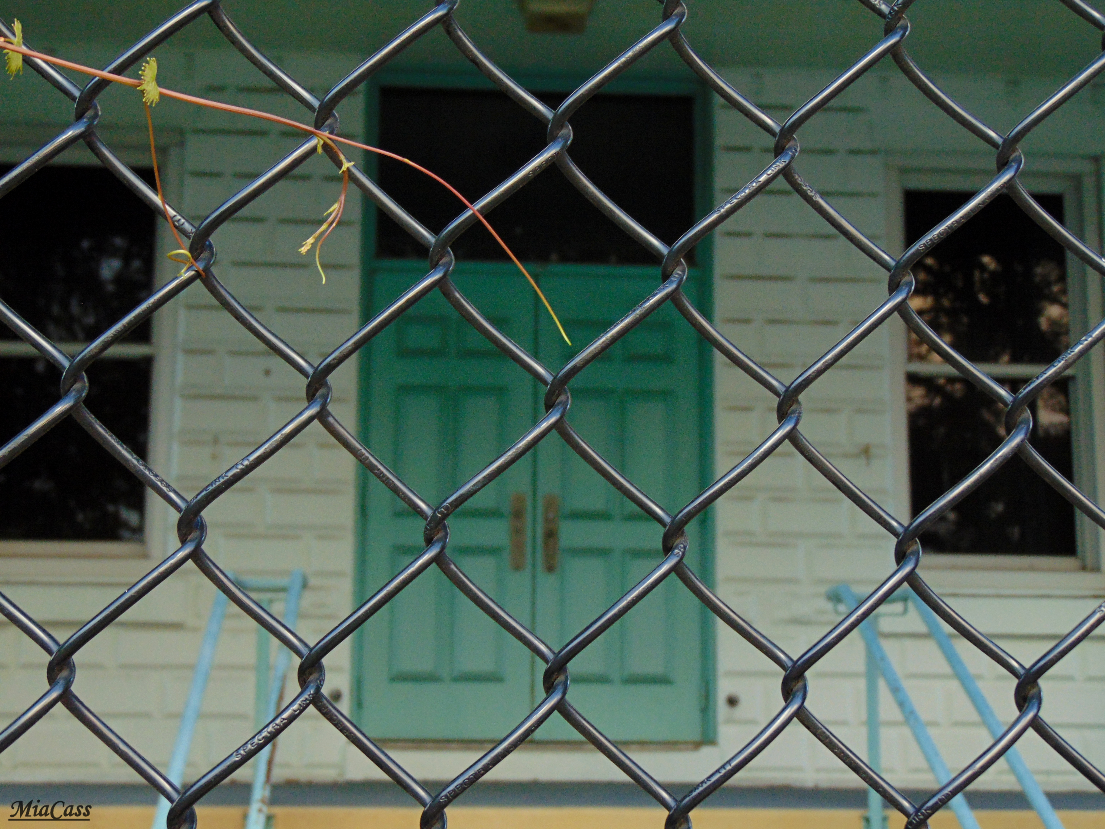 A light-colored school building seen through a chain-link fence, teal door visible.