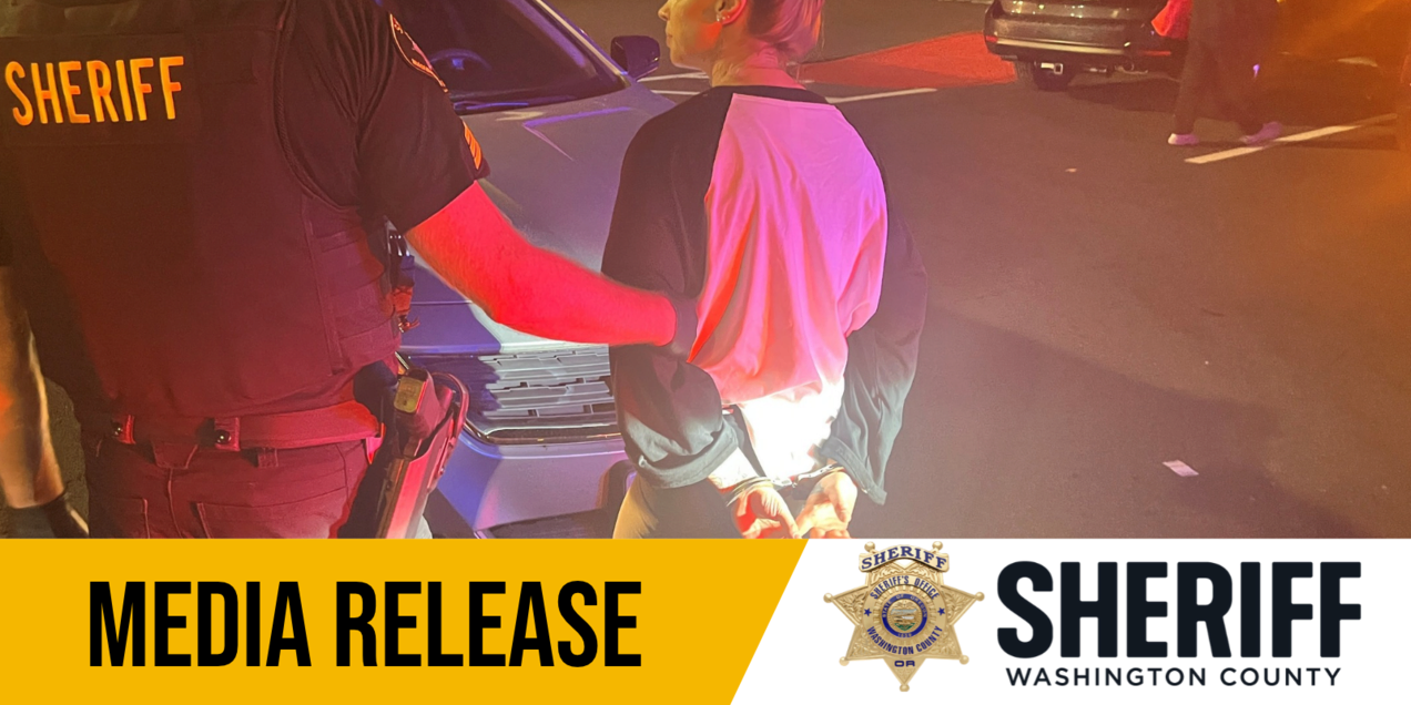 Sheriff's deputy in vest handcuffing a person near a vehicle at night.