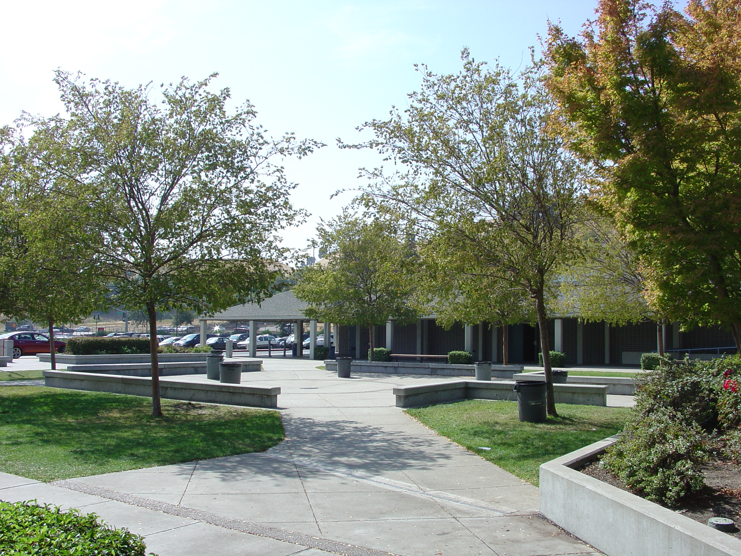 Outdoor campus quad with concrete walkways, trees, and a covered pavilion.