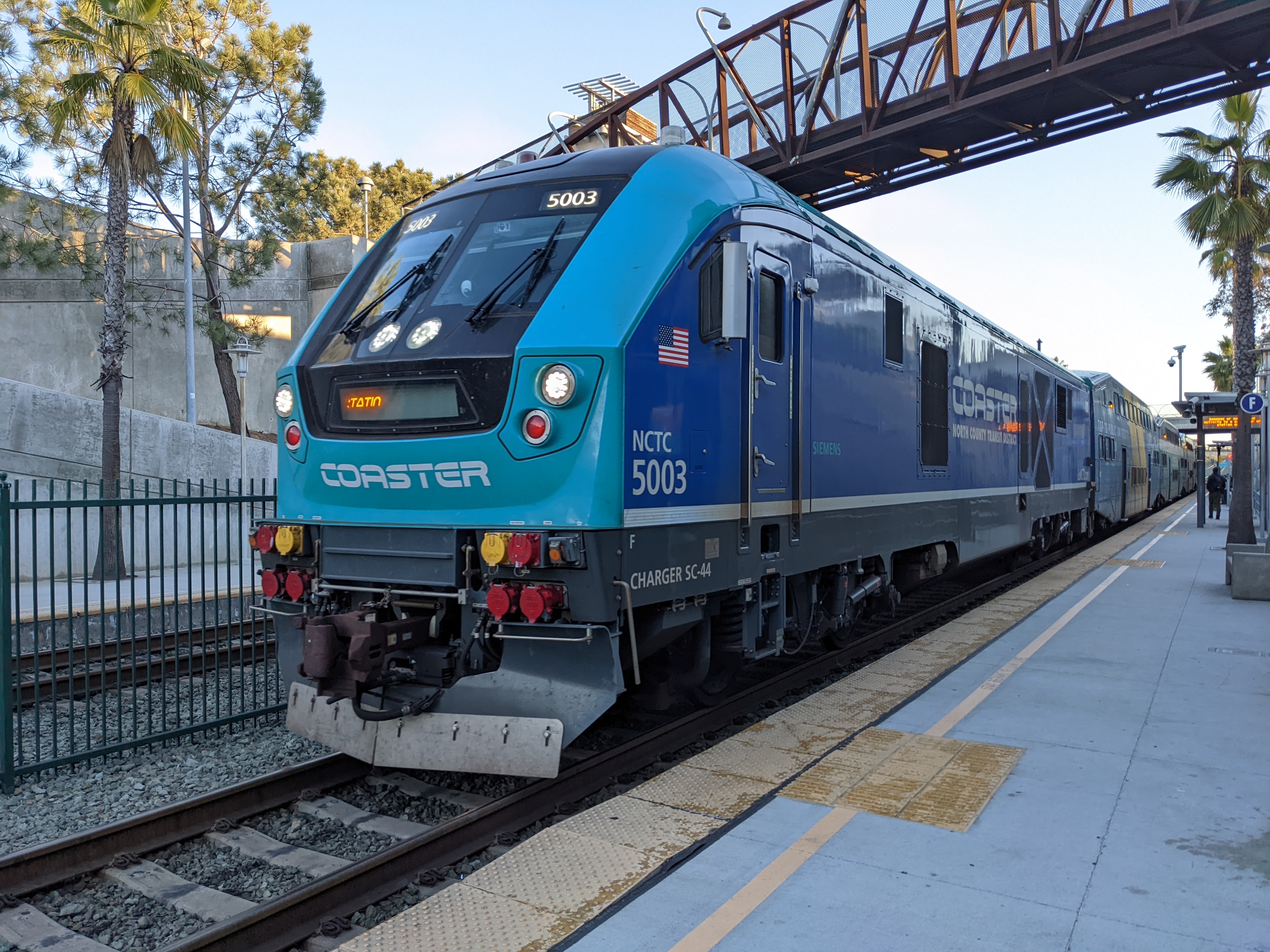Blue Coaster commuter train stopped at a platform with palm trees overhead.