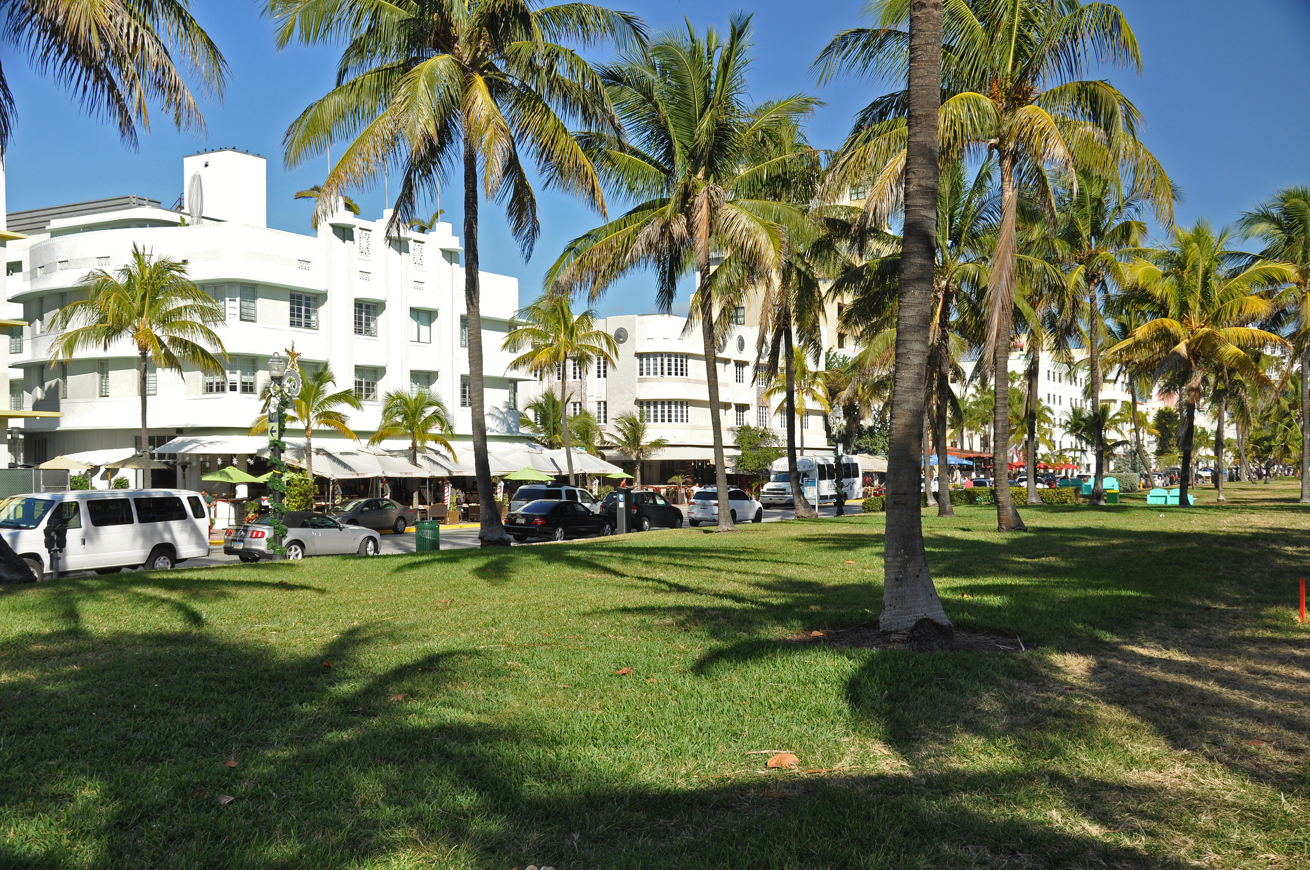 Palm trees and grassy park with white Art Deco hotels lining the street behind them.