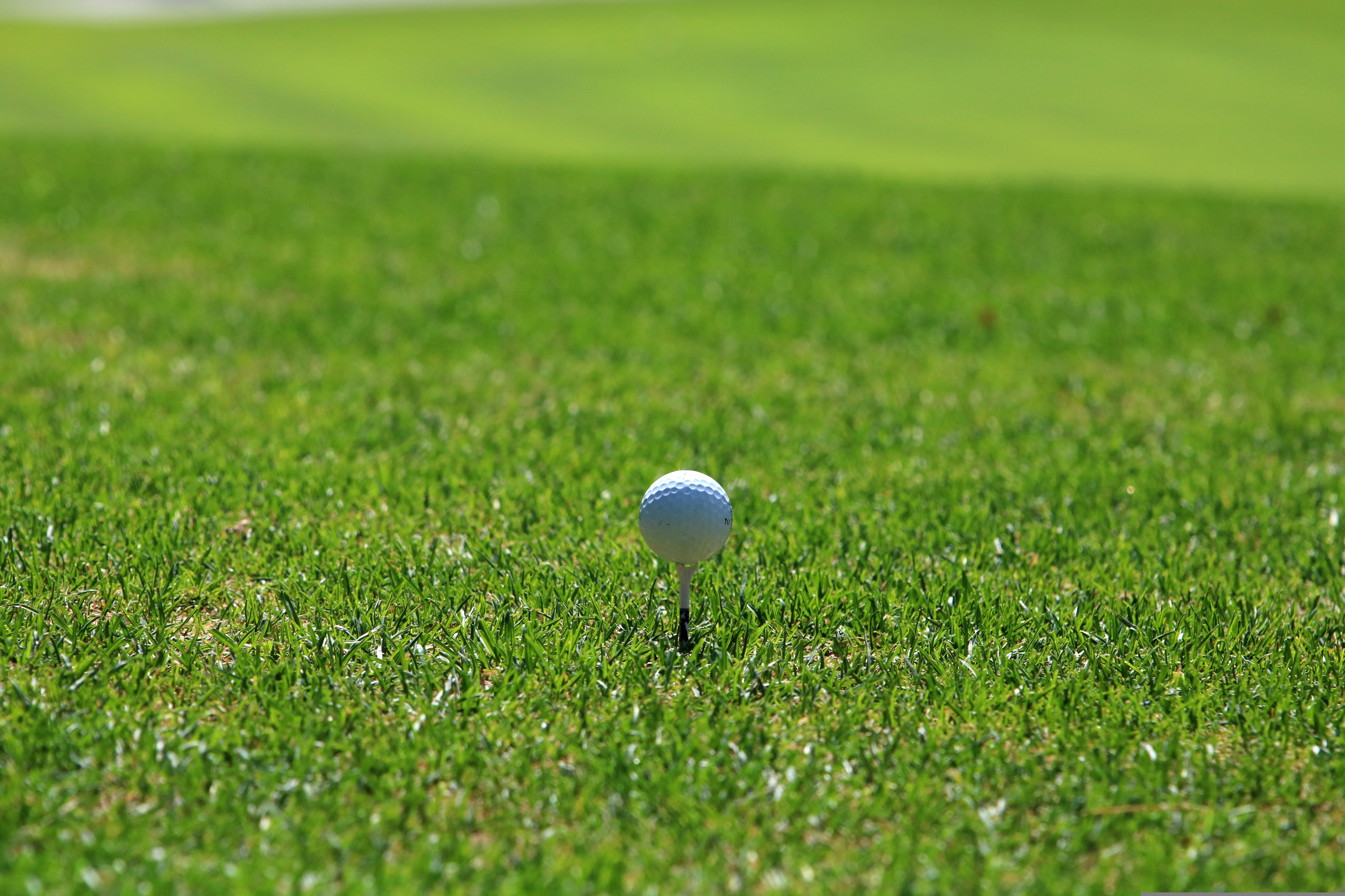 A white golf ball resting on a tee in green grass.