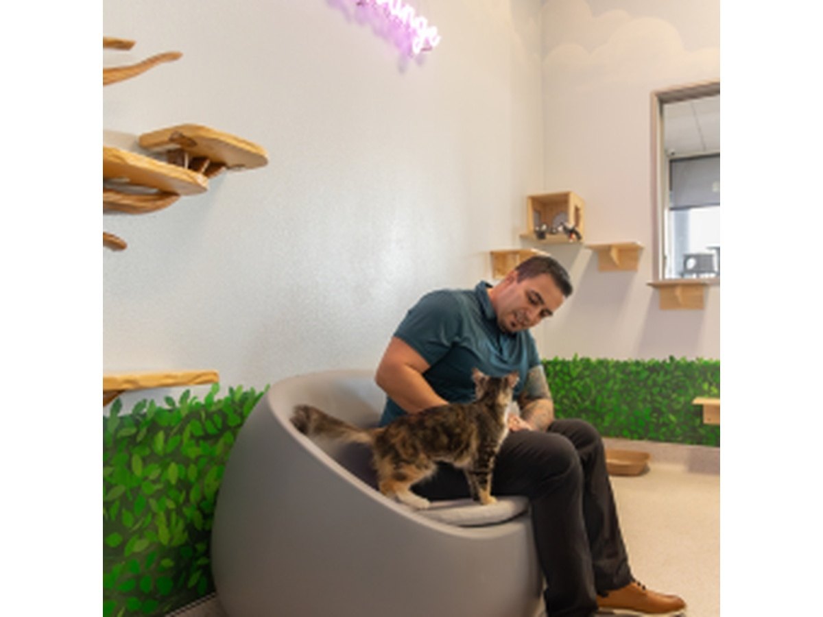 Man seated in a pod chair petting a tabby cat inside a decorated cat lounge.