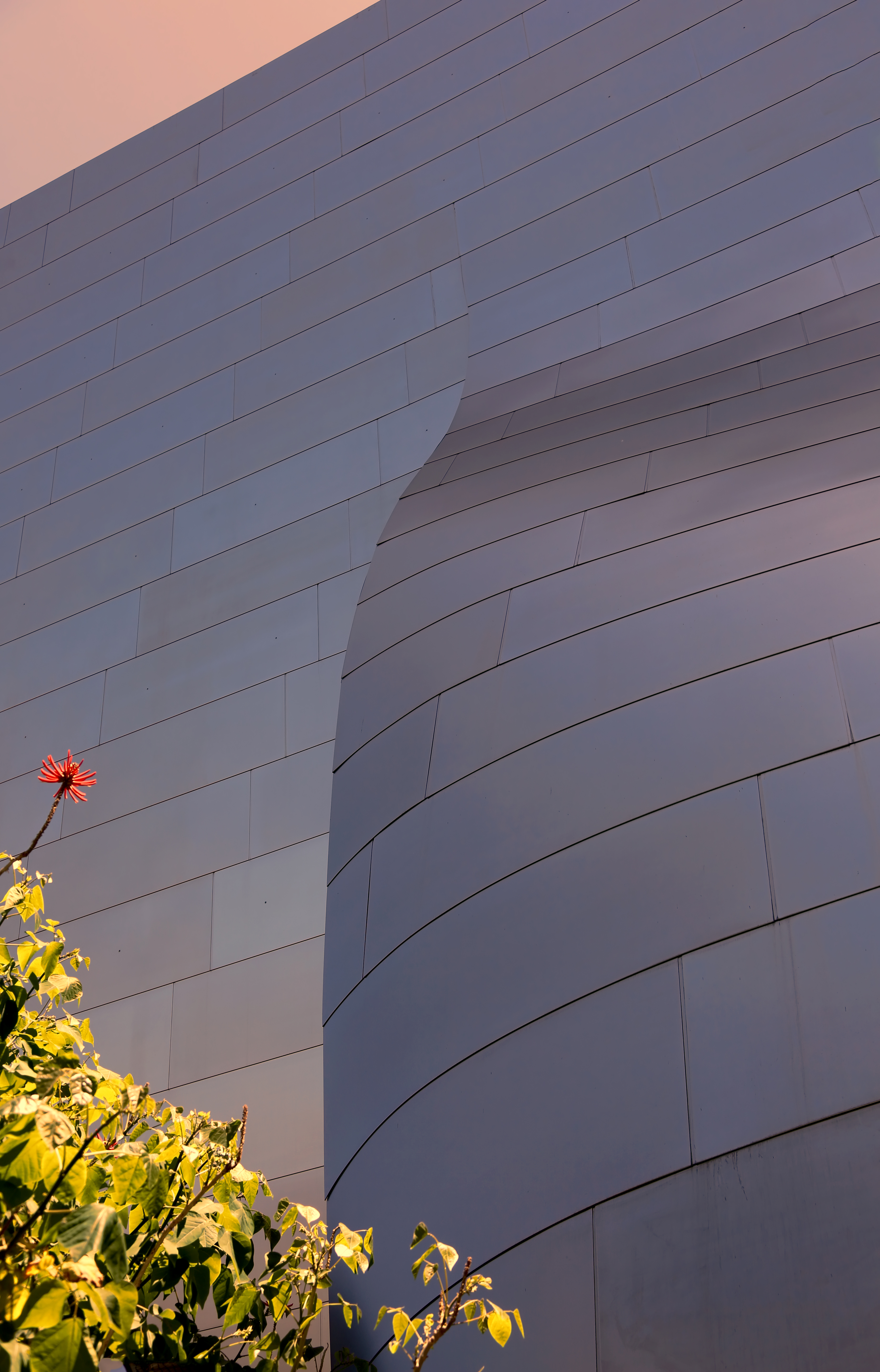 Curved stainless steel panels of a modern concert hall gleam in golden-hour light.