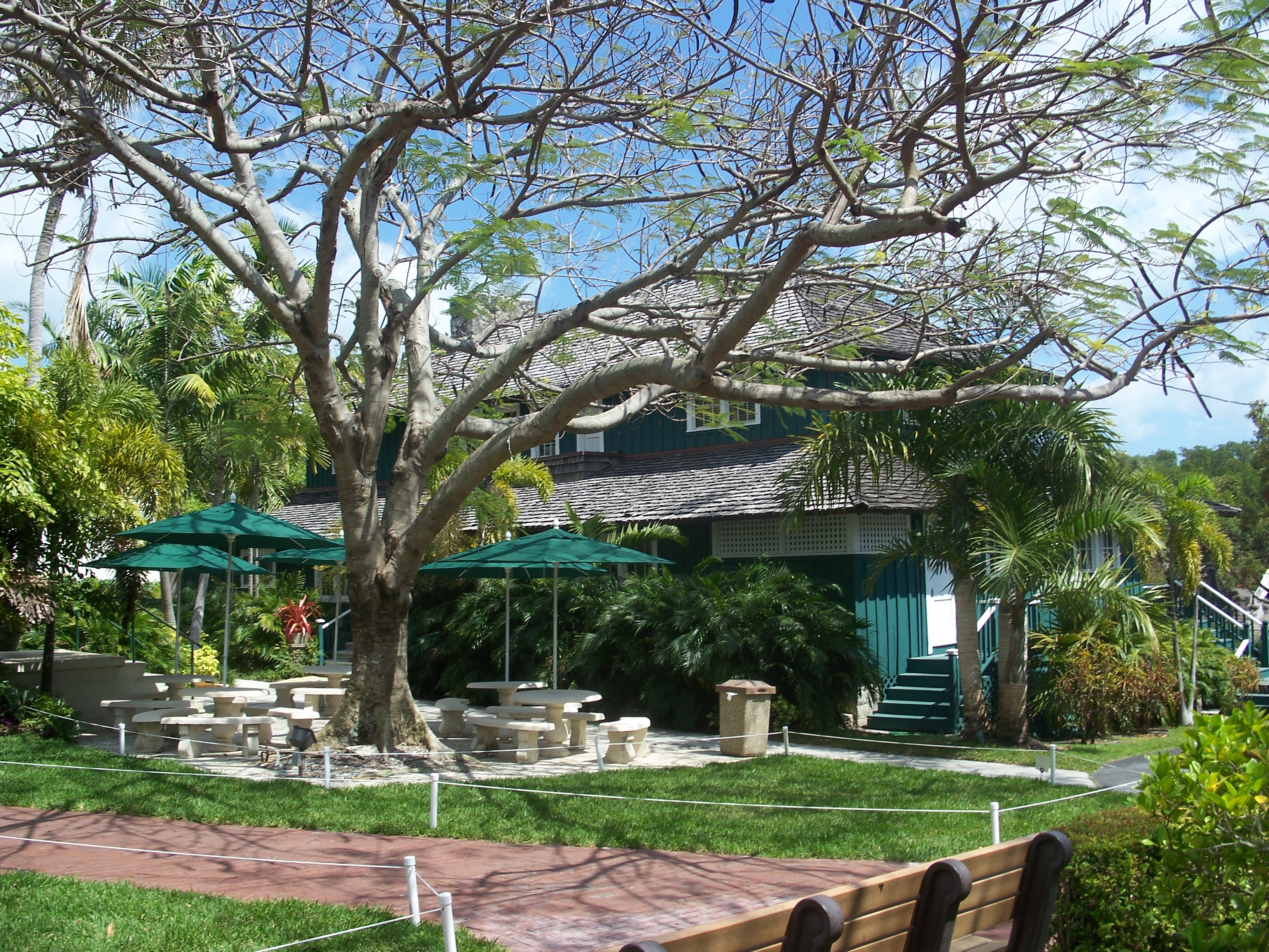 Tropical campus with a teal pagoda-style building, patio umbrellas, and palm trees.