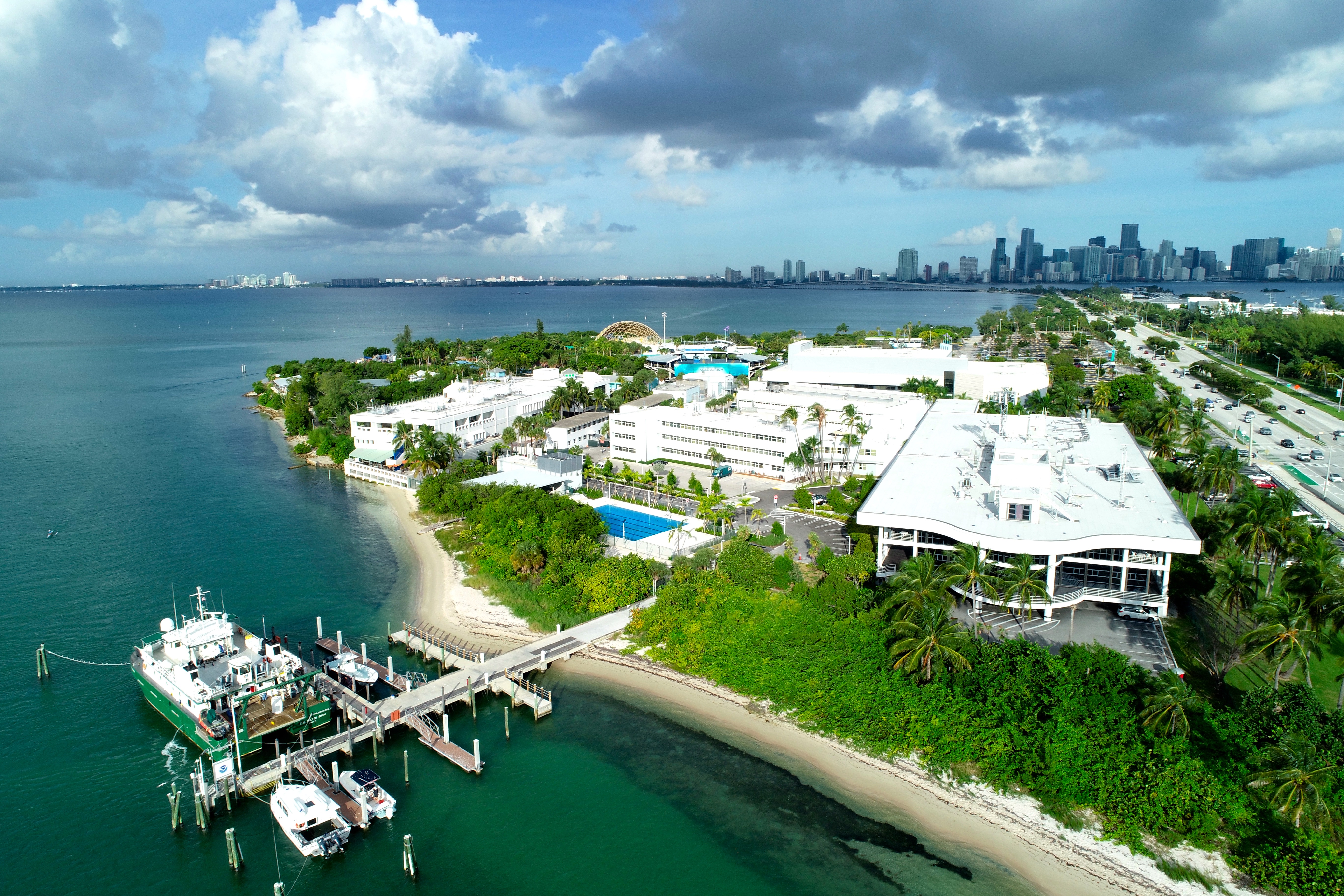 Aerial view of a waterfront campus with white buildings, a marina, and a distant city skyline.