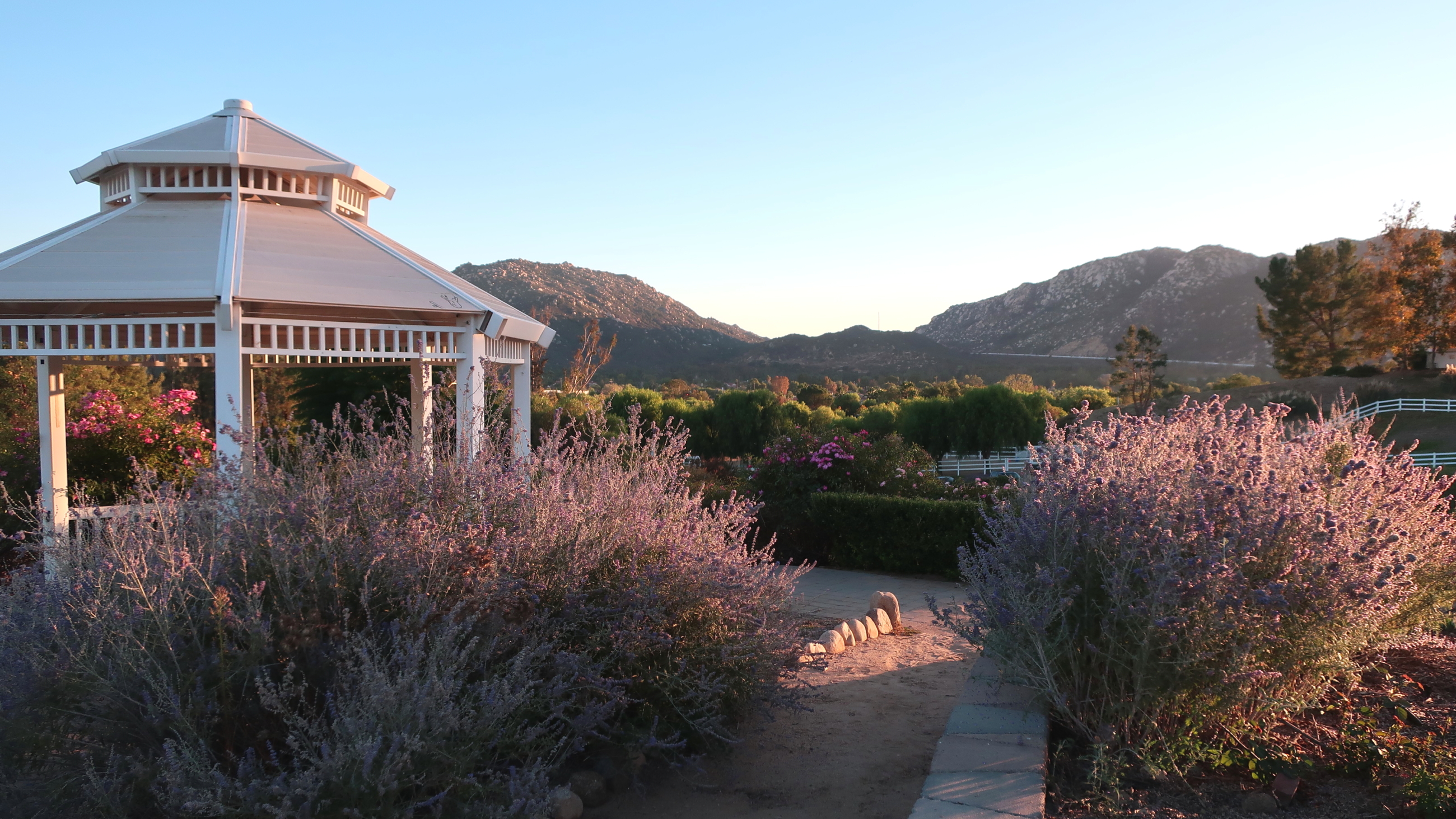 White lattice gazebo surrounded by blooming pink and lavender shrubs in a garden.