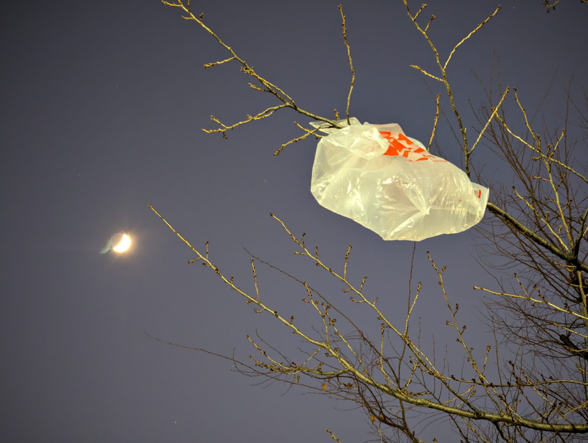 Plastic bag pollution in Hiroo, Tokyo