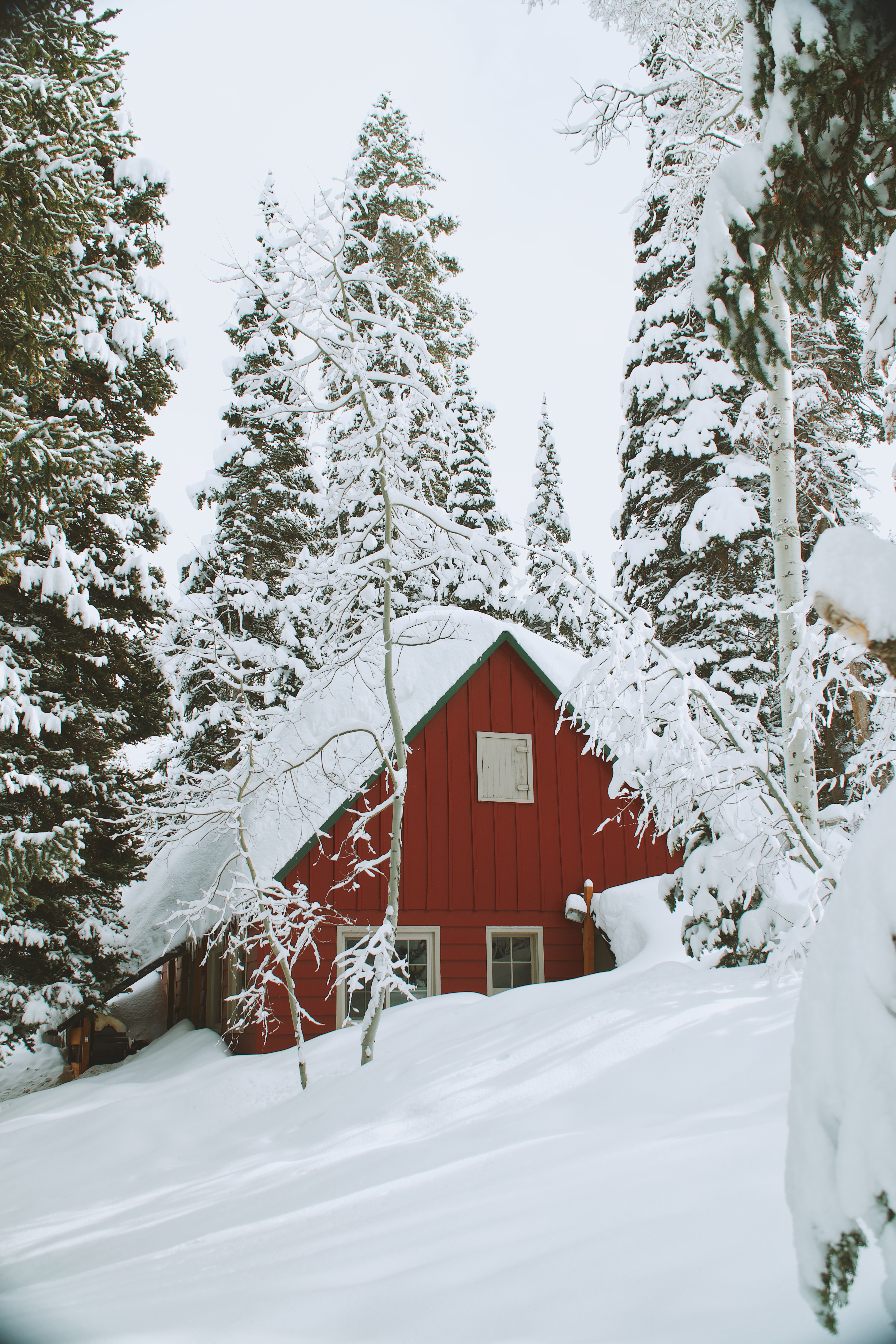 Red A-frame cabin surrounded by heavily snow-laden evergreen trees in winter.