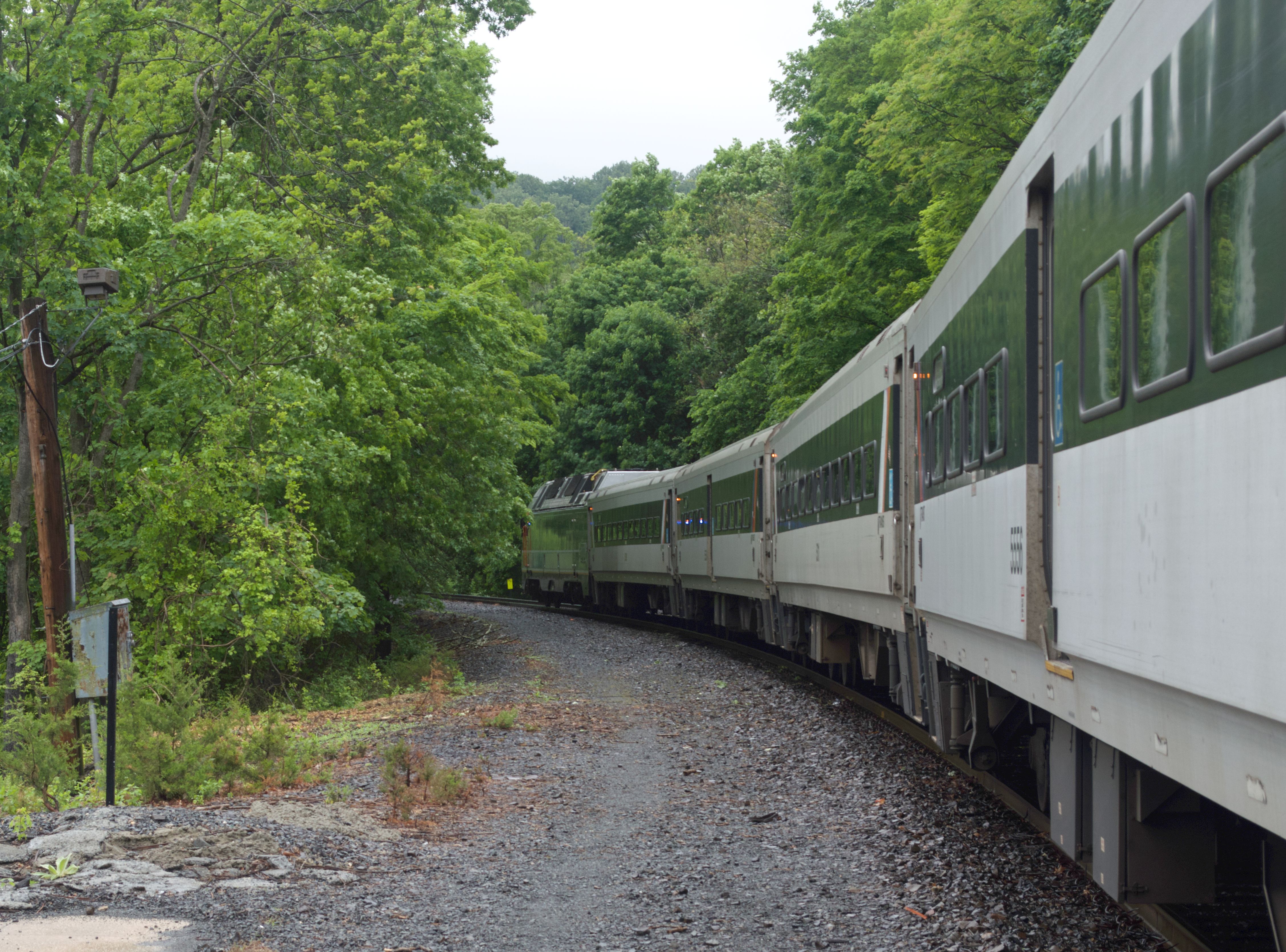 A green-and-white NJ Transit commuter train at a wooded station platform.