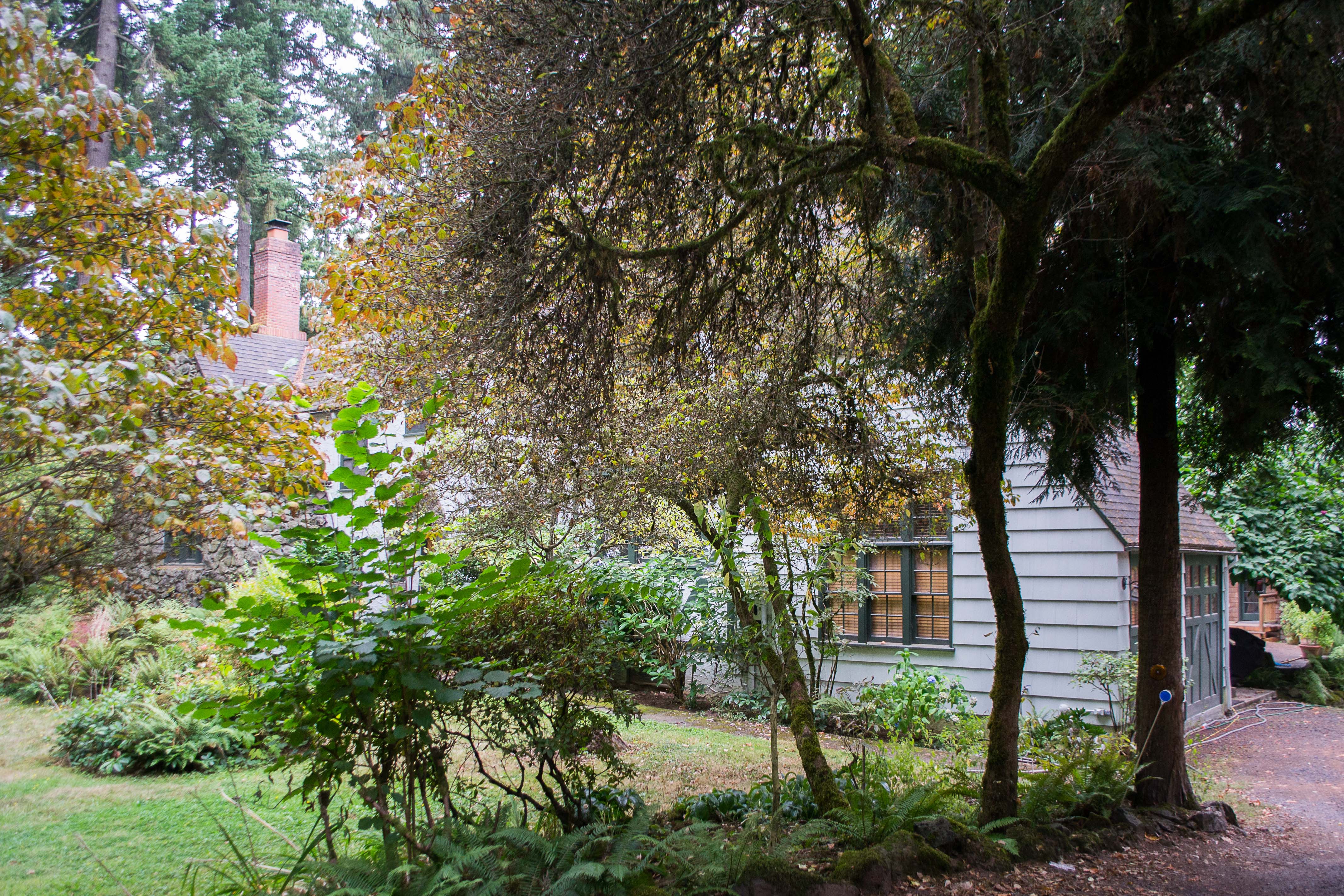 Historic cottage-style house partially framed by large mature trees and dense garden landscaping.
