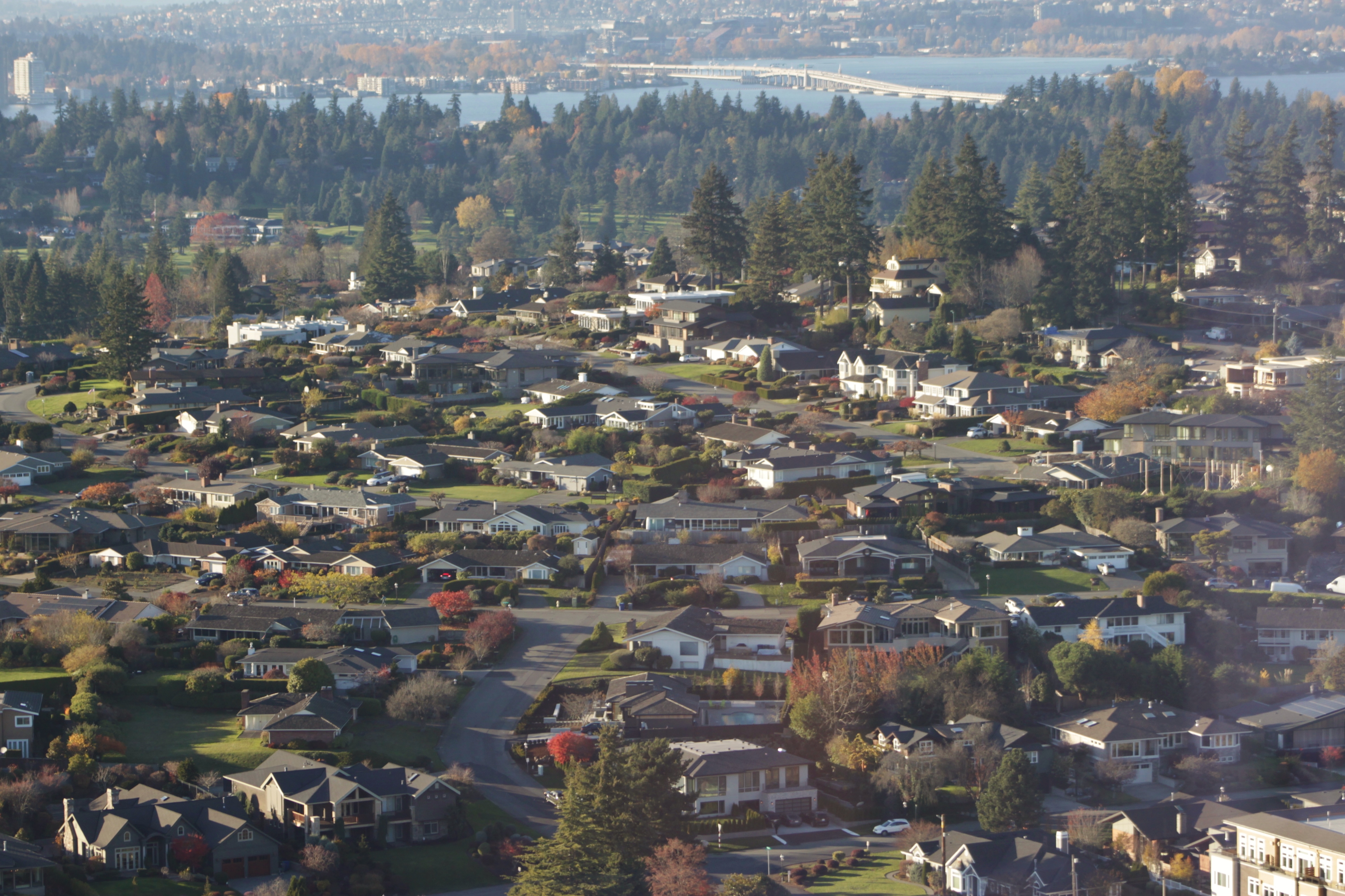 Aerial view of tree-lined residential streets with single-family homes and a bridge in the distance.
