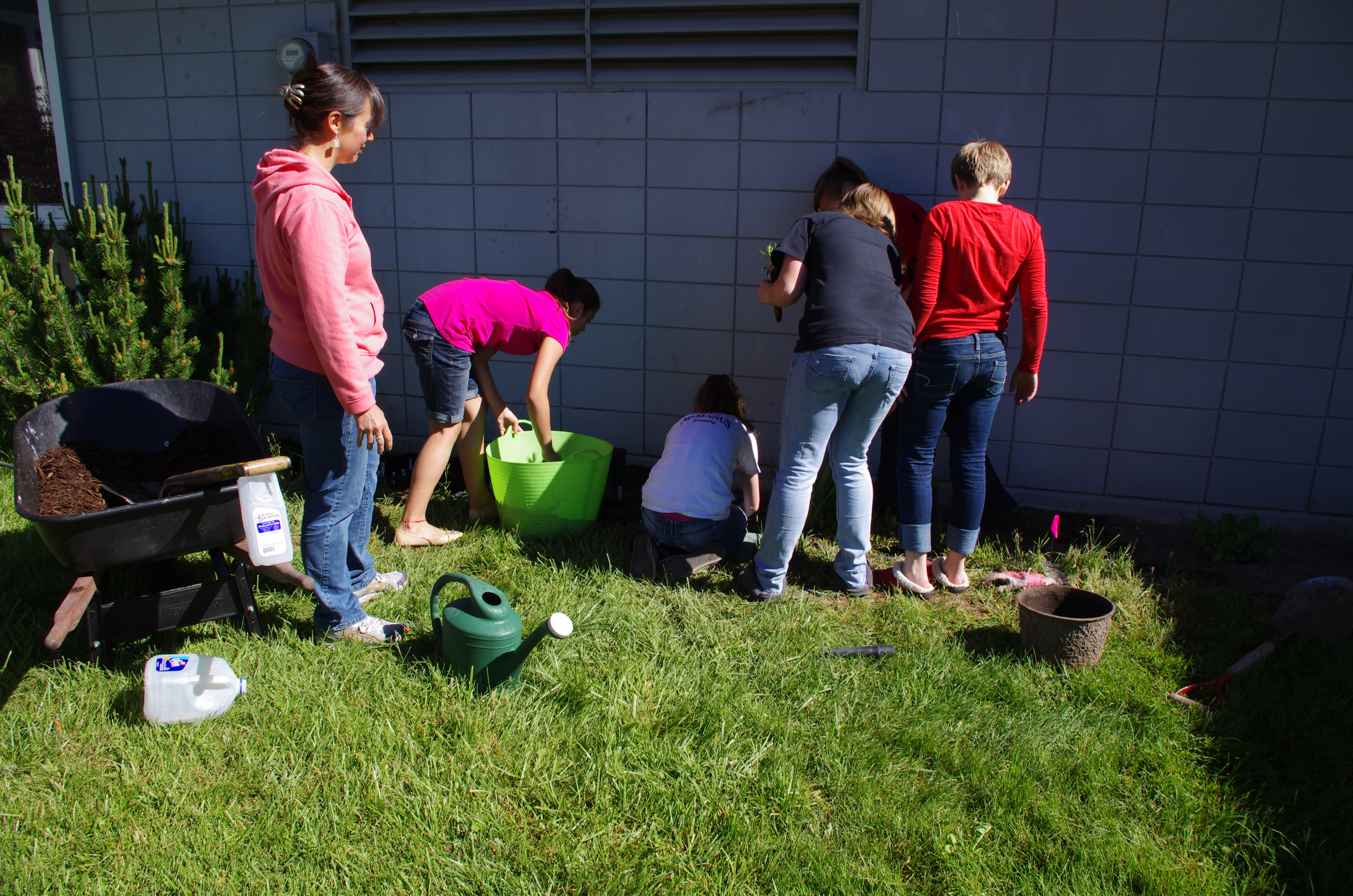 A group of people plant a native garden bed along a school building on a grassy lawn.