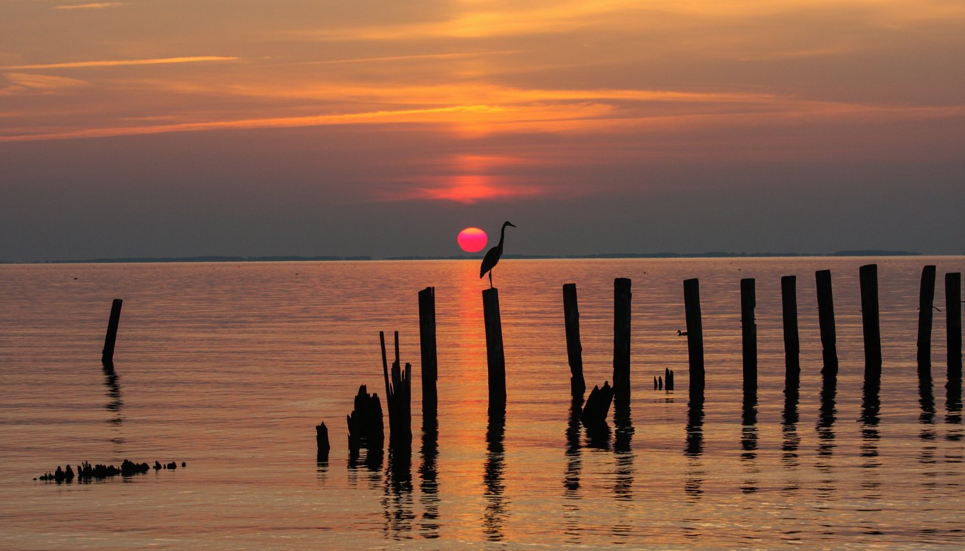 Silhouetted heron on a wooden piling at sunset over calm bay water.