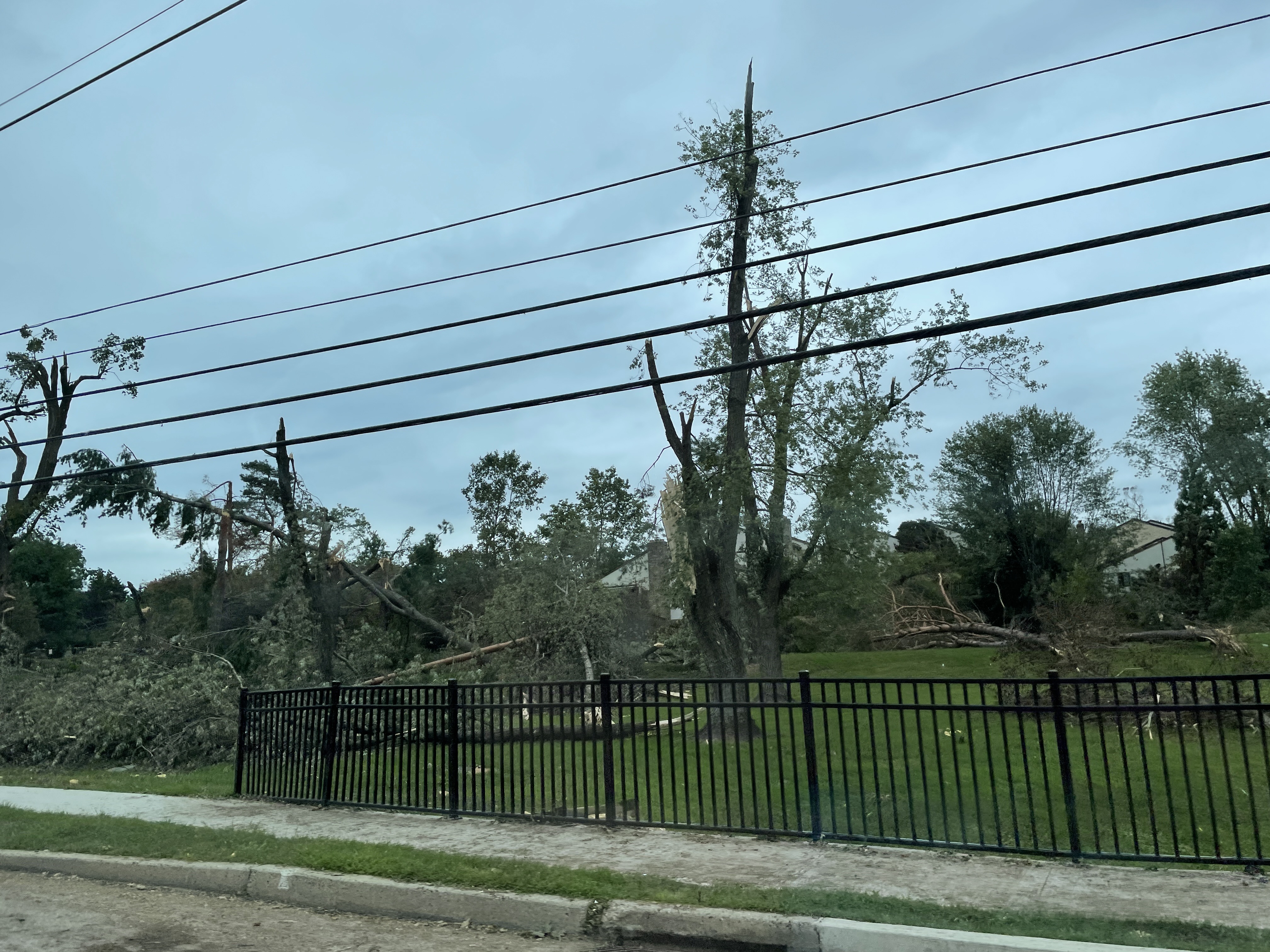 Downed and heavily damaged trees behind a wrought-iron fence along a residential street under an overcast sky.