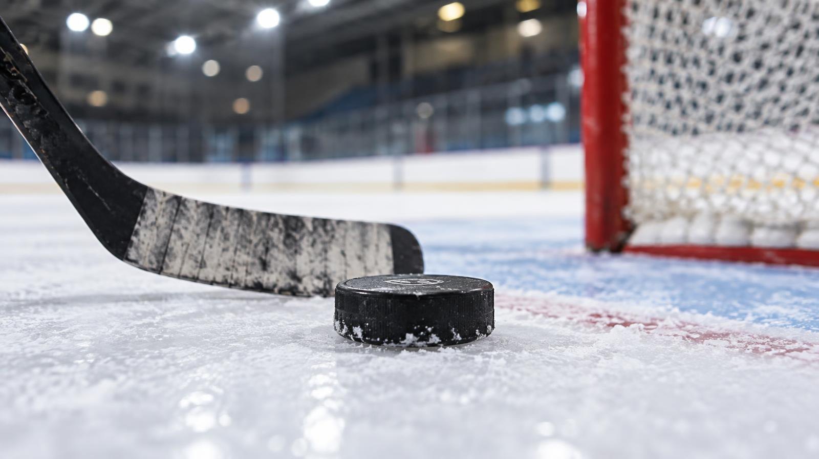 Ice hockey puck and stick blade resting on ice near a goal crease.