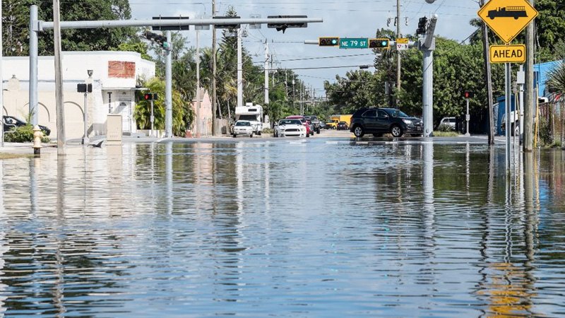 Vehicles navigate a flooded urban intersection on a sunny day, with palm trees and buildings in the background.