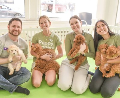 Four staff members in green branded shirts sitting on a mat, each holding small curly-haired puppies.