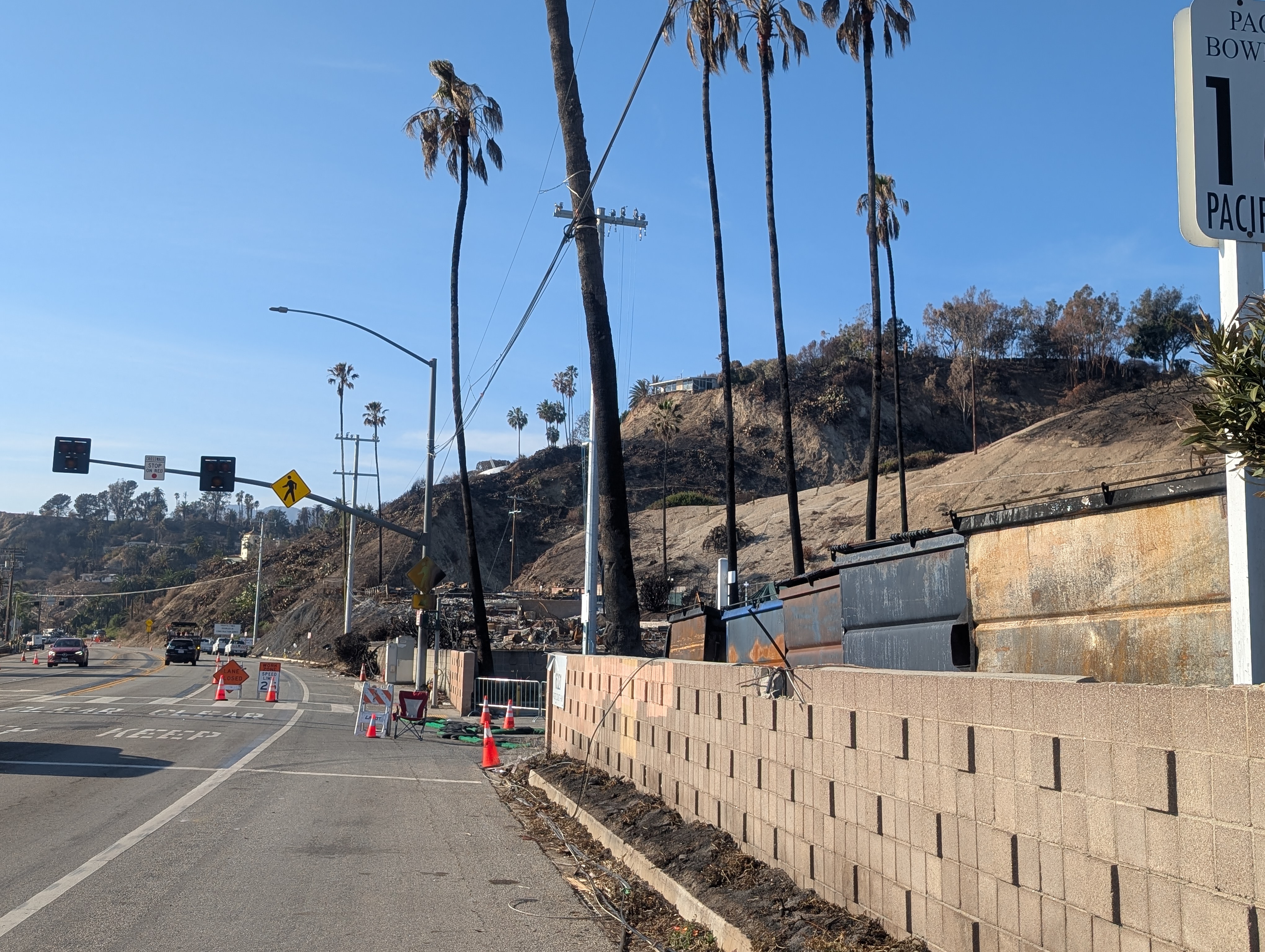 Charred palm trees and a scorched hillside line a road in Pacific Palisades after a wildfire.