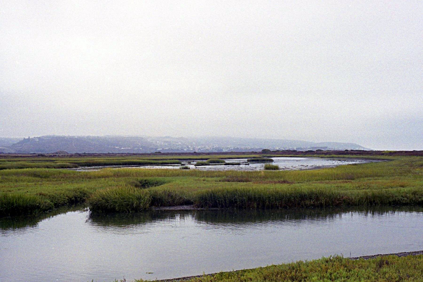The Tijuana River Estuary — an estuary and wetlands at the mouth of the Tijuana River at the Pacific Ocean.
Located in the San Diego–Tijuana region of San Diego County, California (U.S.) and Tijuana, Baja California state (Mexico).
The Tijuana River National Estuarine Research Reserve and Tijuana Slough National Wildlife Refuge are located here.
A National Natural Landmark of the United States.
