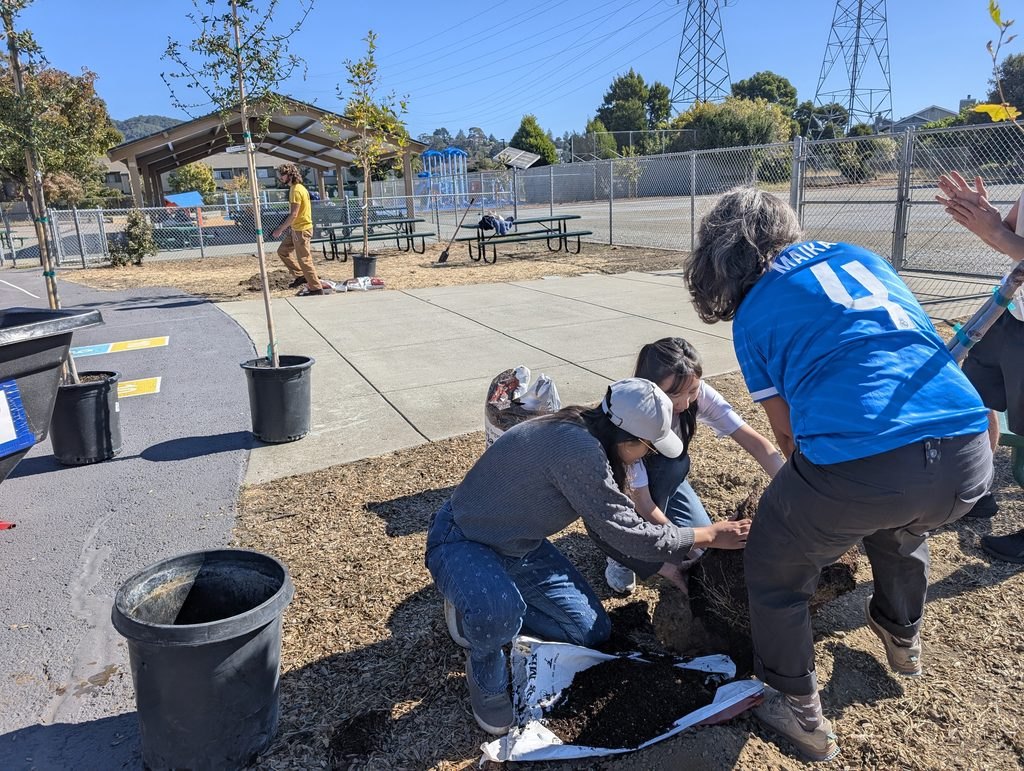 Three people crouching together to plant a young tree in a dirt area at a school playground.