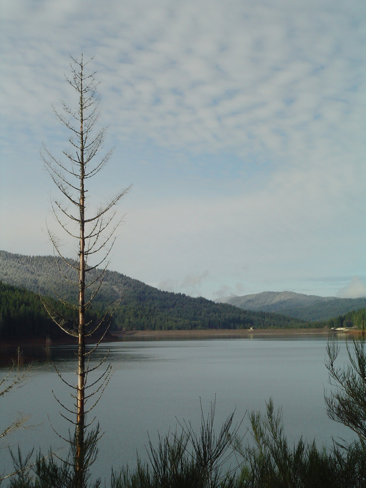 A calm reservoir surrounded by forested mountains, with a dead conifer tree in the foreground.