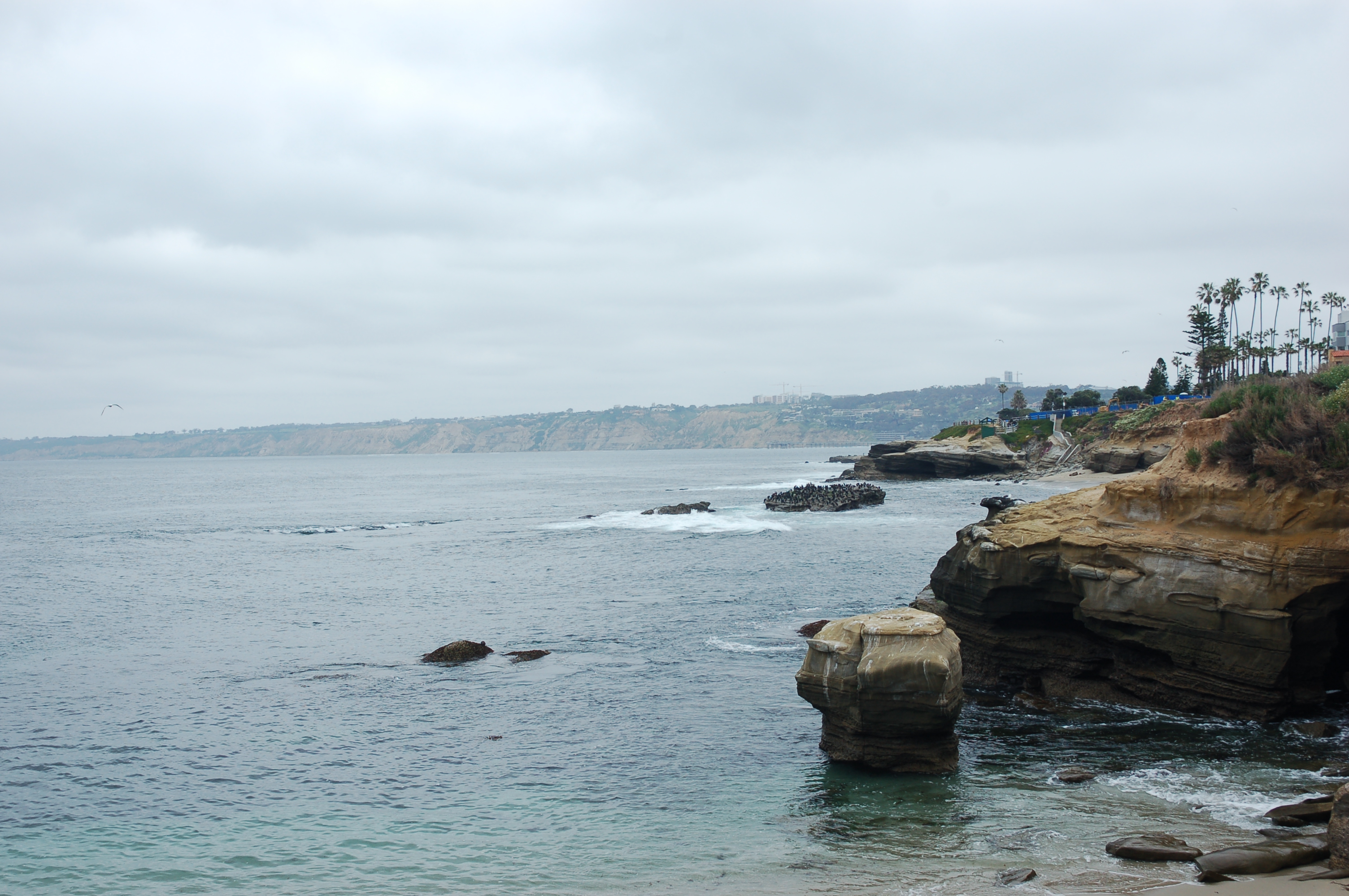 Sandstone cliffs and rocky shoreline at La Jolla Cove with calm ocean water below.
