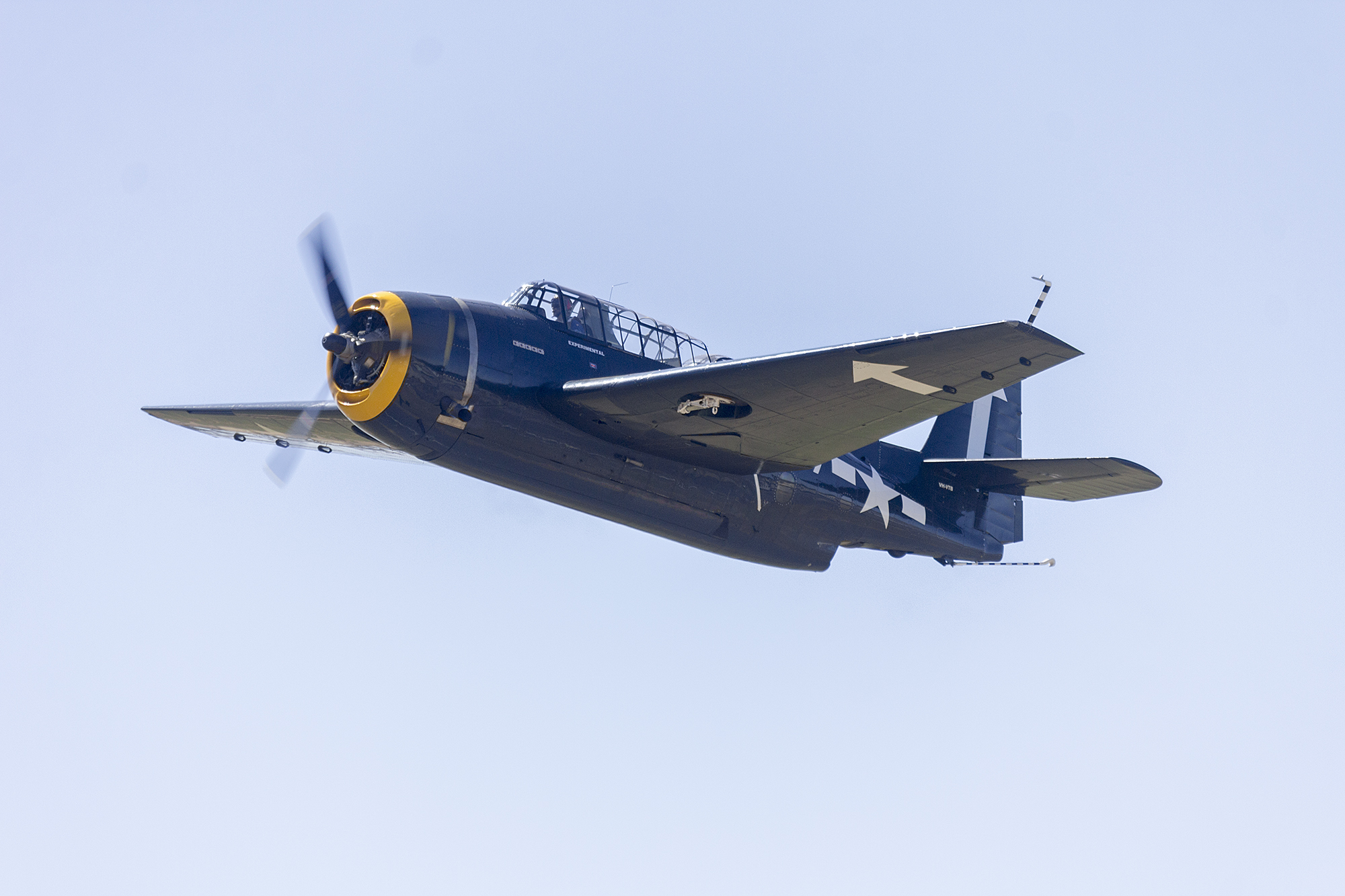 Dark navy blue WWII-era TBM Avenger torpedo bomber airborne against a pale sky.