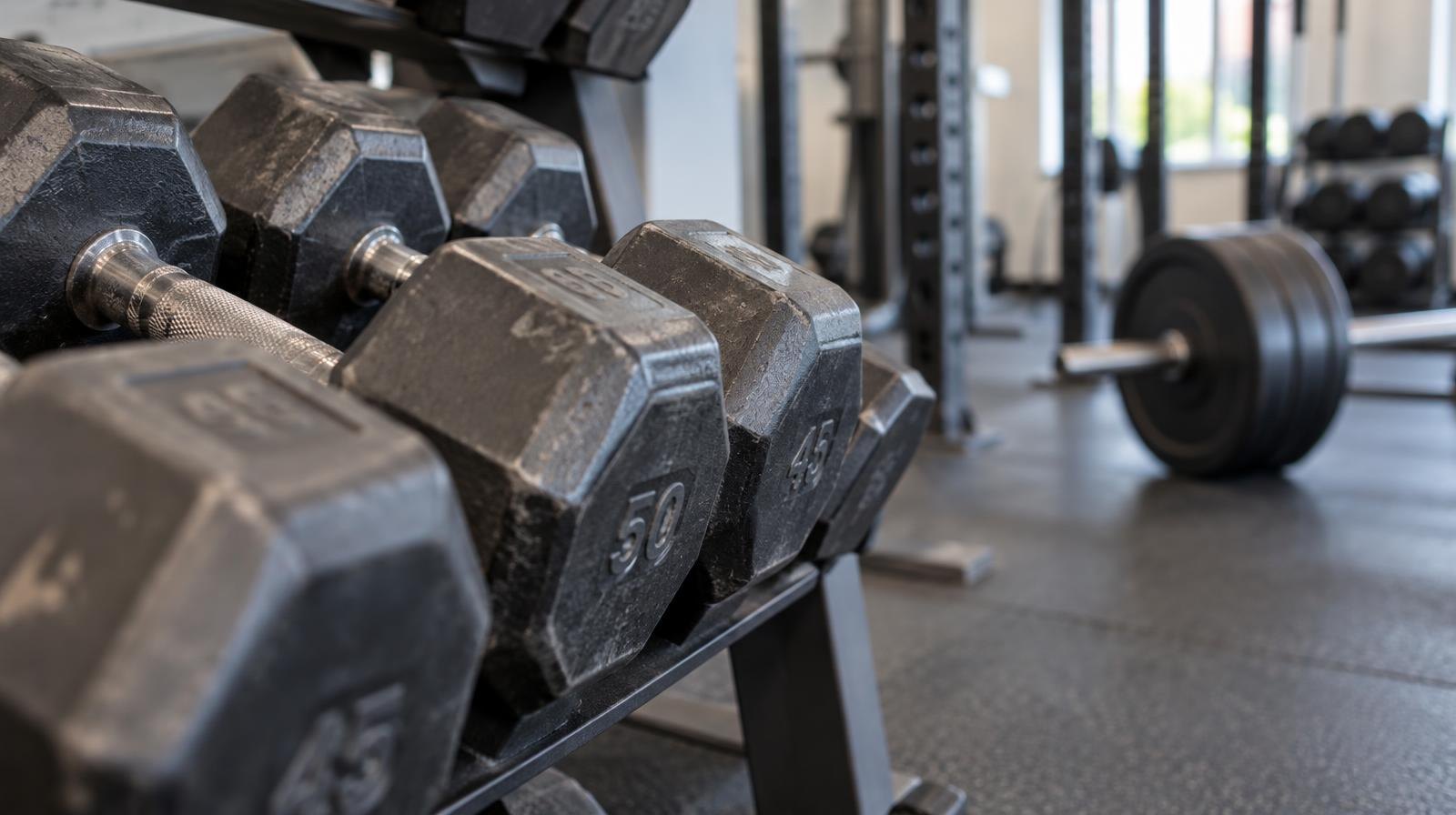 Iron dumbbells lined up on a rack in a bright, modern gym.