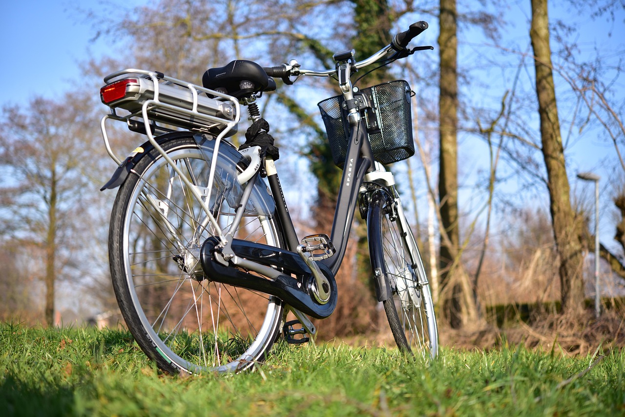 E bike, bicycle, photo, landscape, to stand, nature, taking photos, new, fun, black, e bike, e bike, e bike, e bike, e b