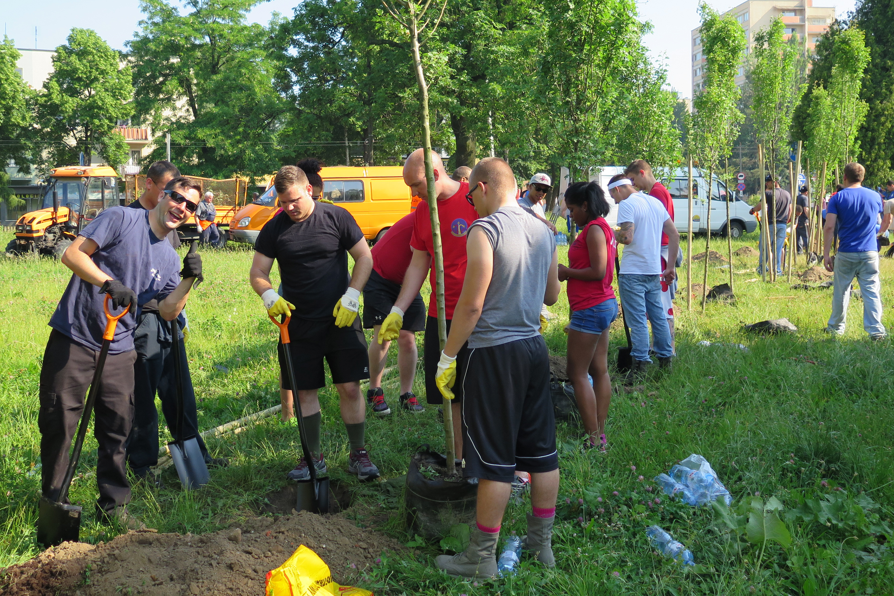 Volunteers in work gloves planting young saplings in a grassy open area.