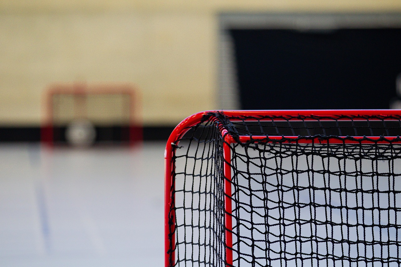 Hockey, goal, net, sport, match, indoors