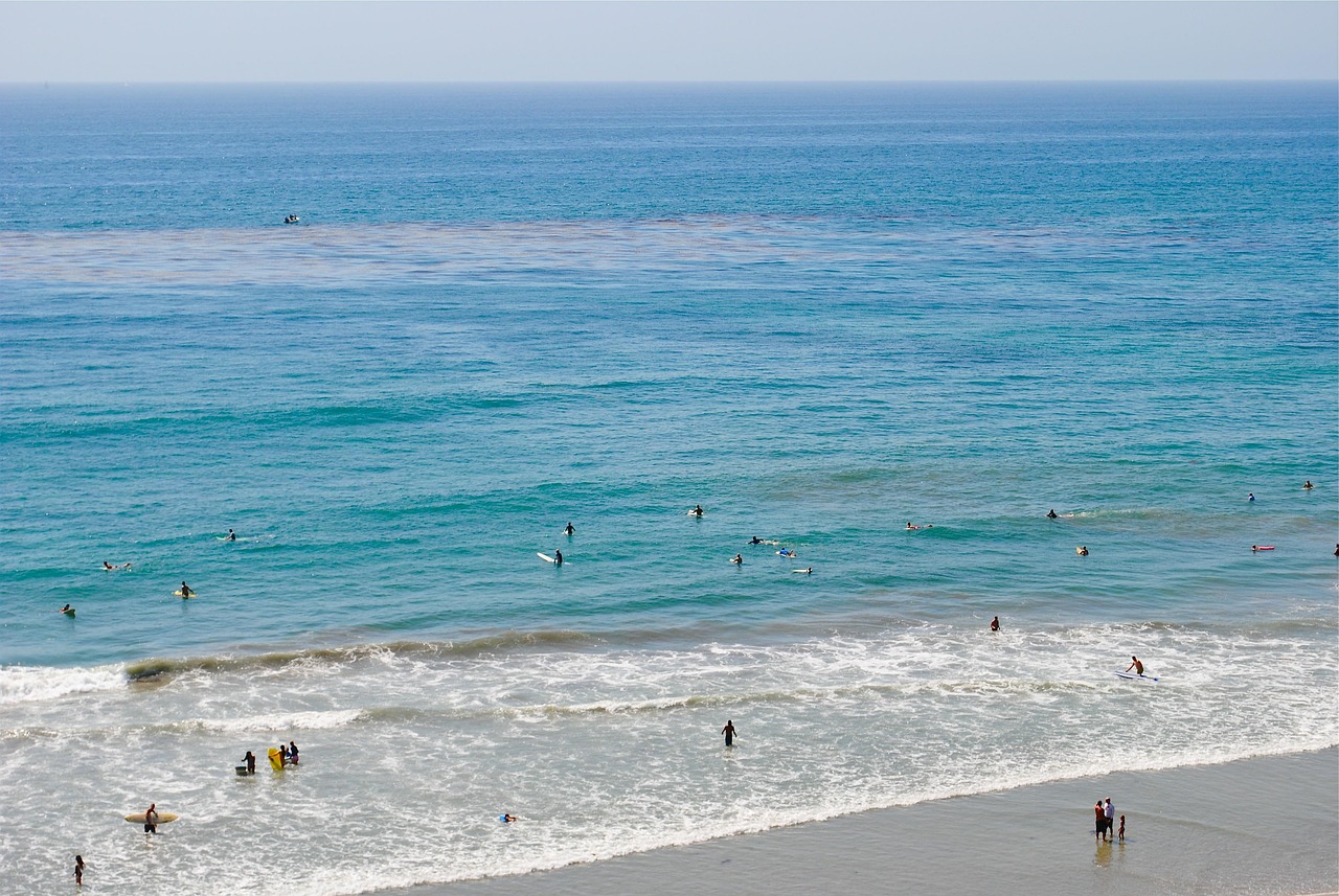 Carlsbad, california, nature, beach, landscape, coast, surf