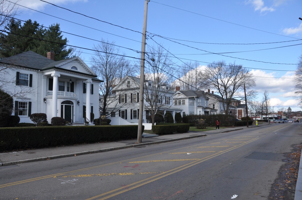 Tree-lined street with large white colonial homes in Newtonville, Massachusetts.