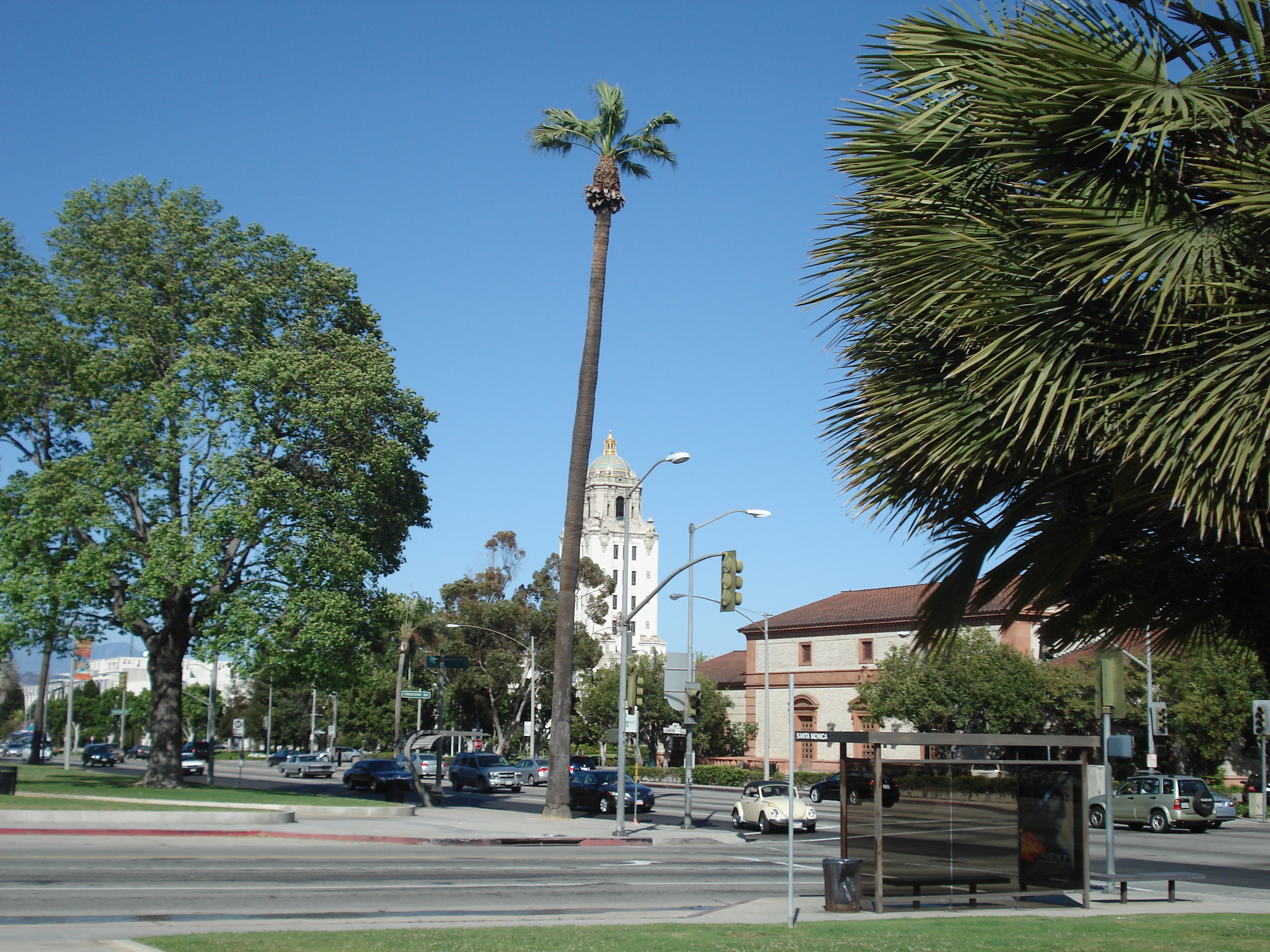 Palm tree and shade trees line a park boulevard under a clear blue sky.