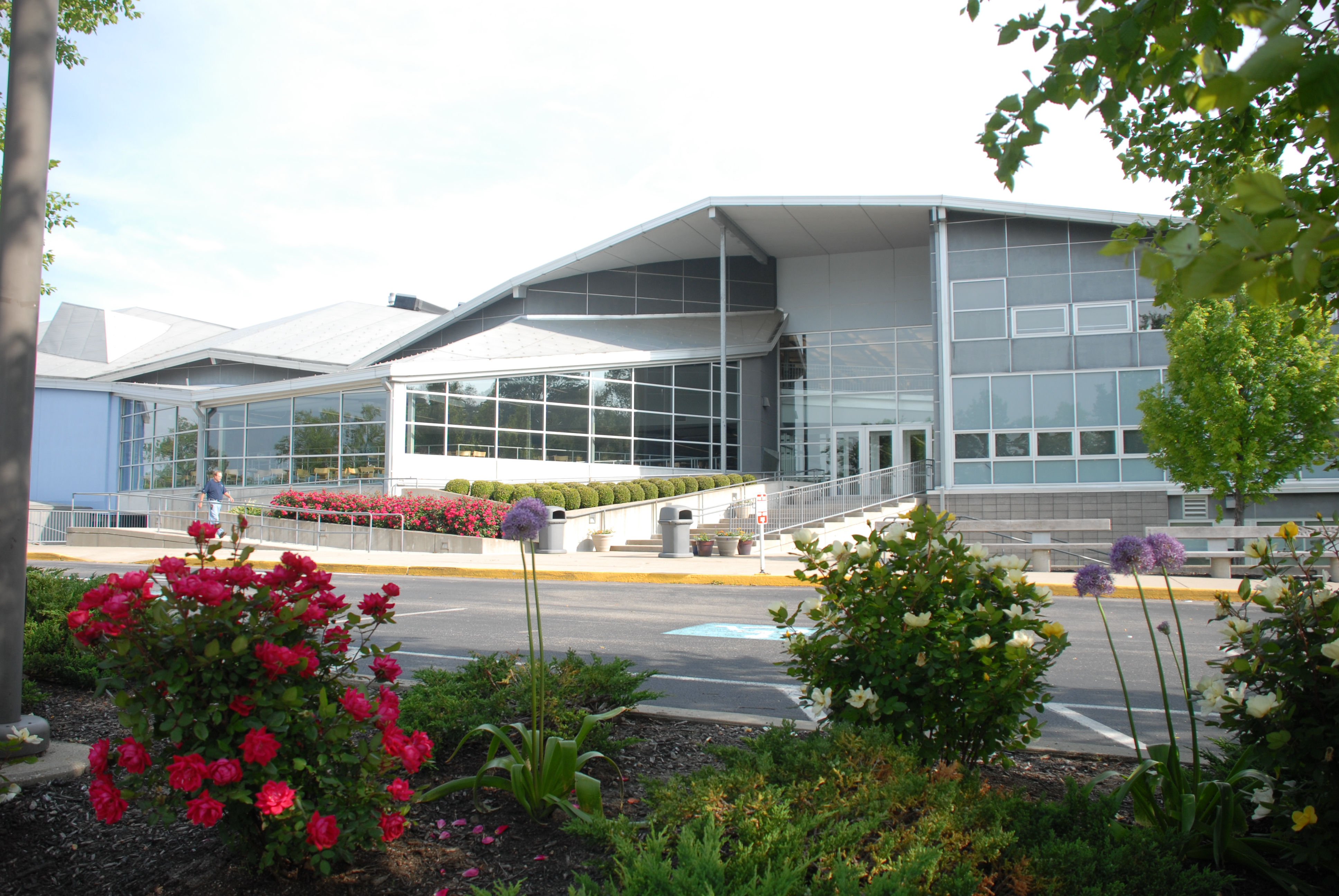 Modern school building entrance with glass windows and flowering shrubs in the foreground.
