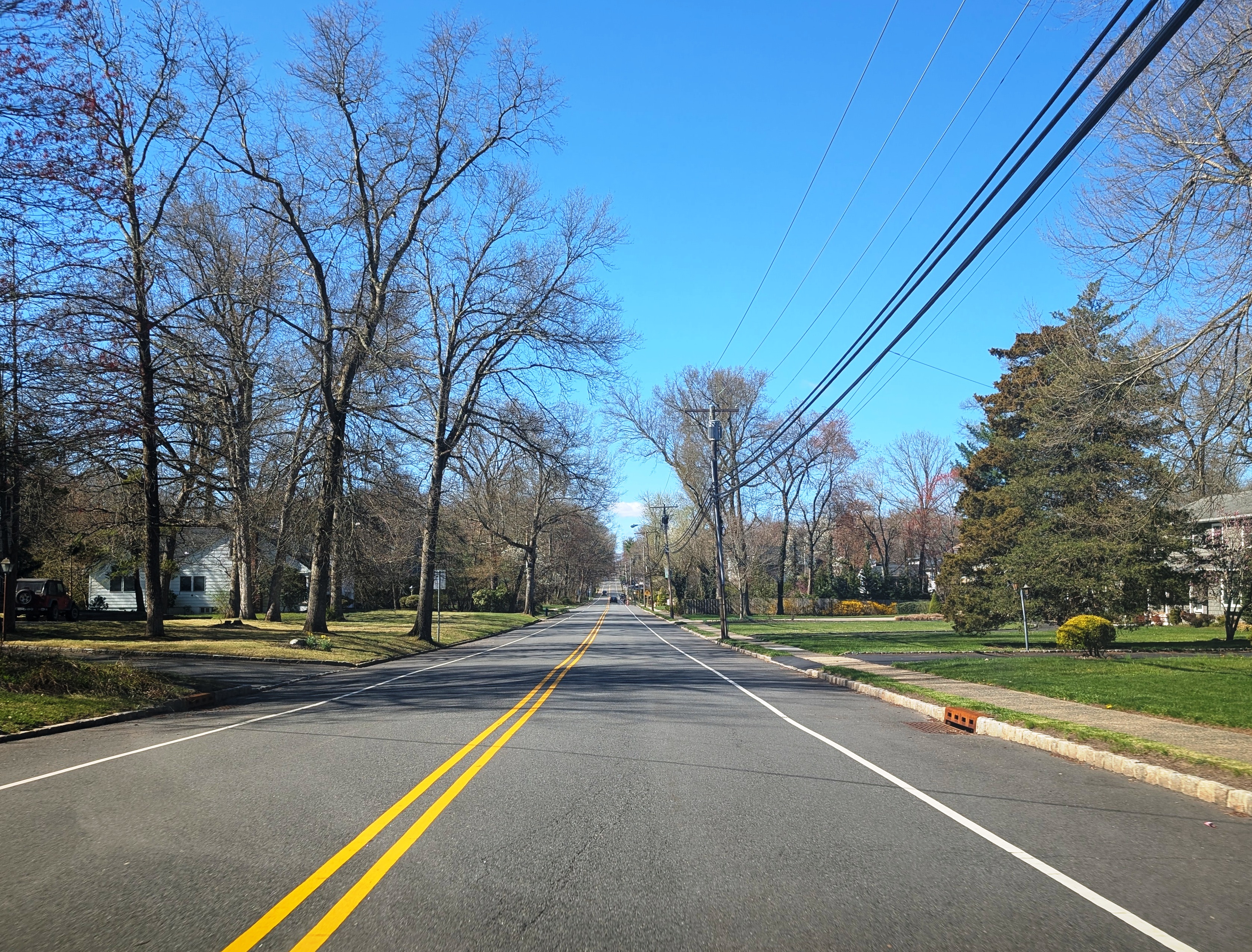 A tree-lined residential street with houses on both sides in Berkeley Heights, New Jersey.