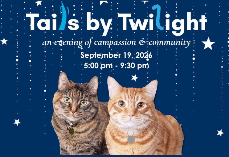 Flyer showing two cats against a starry blue background promoting the Tails by Twilight event.