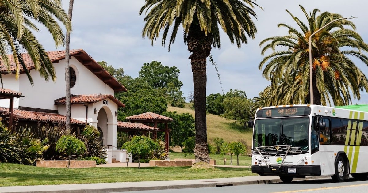 White and green Marin Transit bus traveling along a road lined with palm trees.