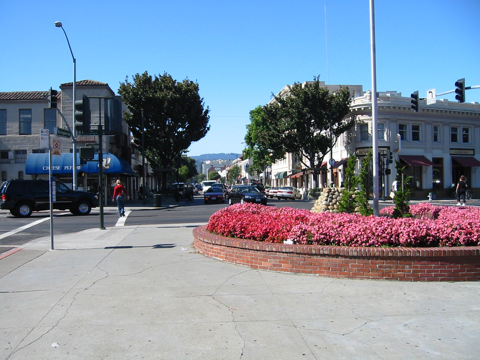 A commercial street with shops, parked cars, trees, and a flower bed in the foreground.