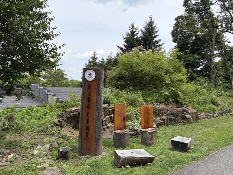 Wooden post sign reading 'PARKLINE' beside a paved path with tree-stump seating and native plantings.