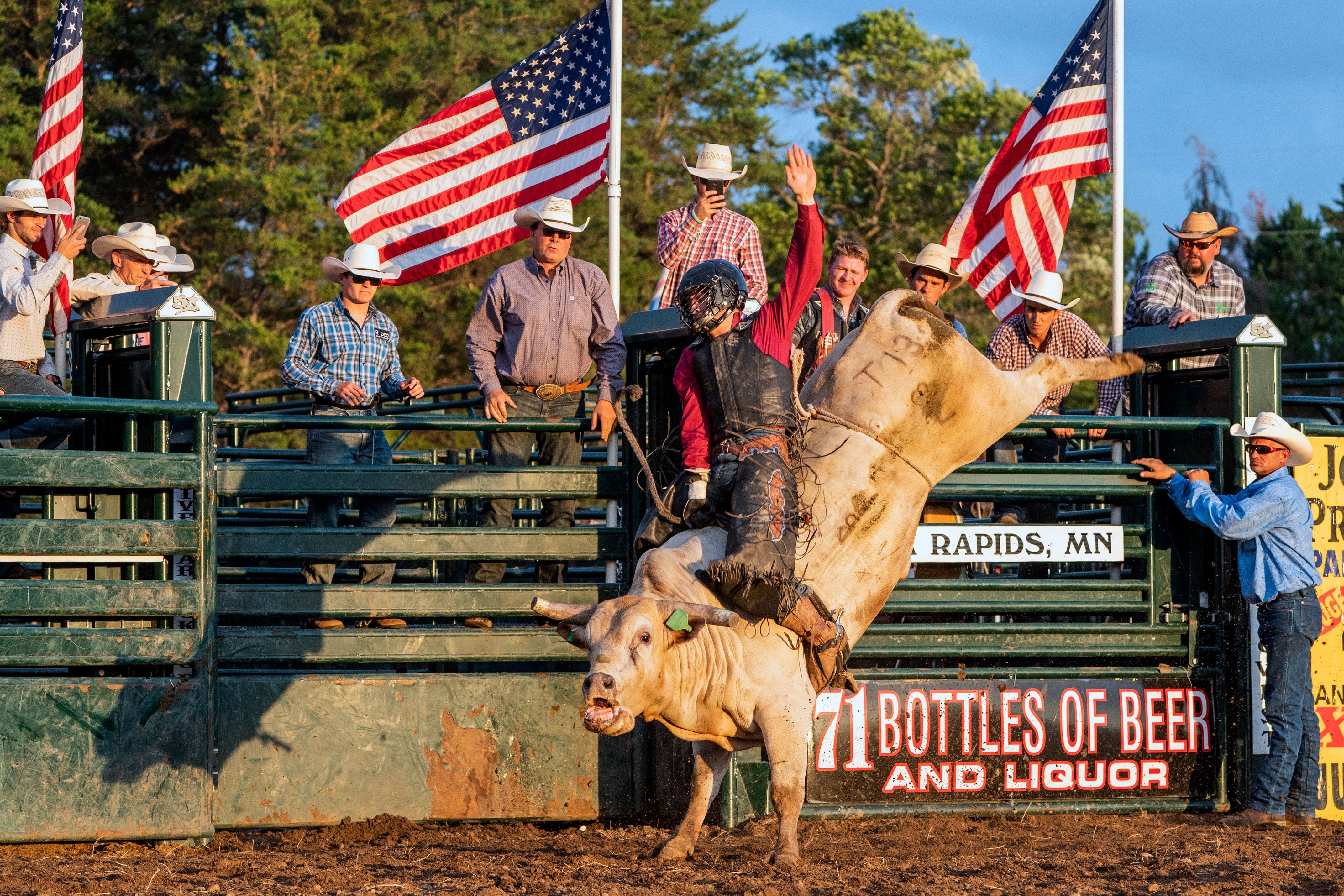 Bull rider on a bucking white bull in a rodeo arena.
