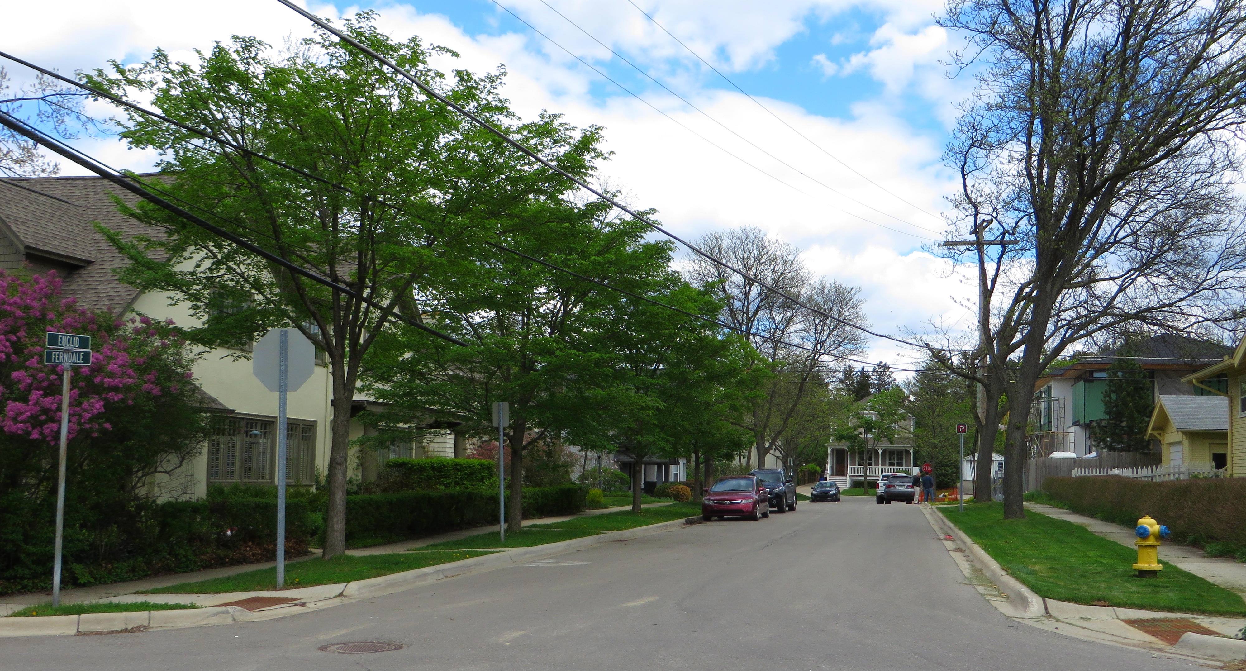 Tree-lined residential street with parked cars and houses on a sunny day.